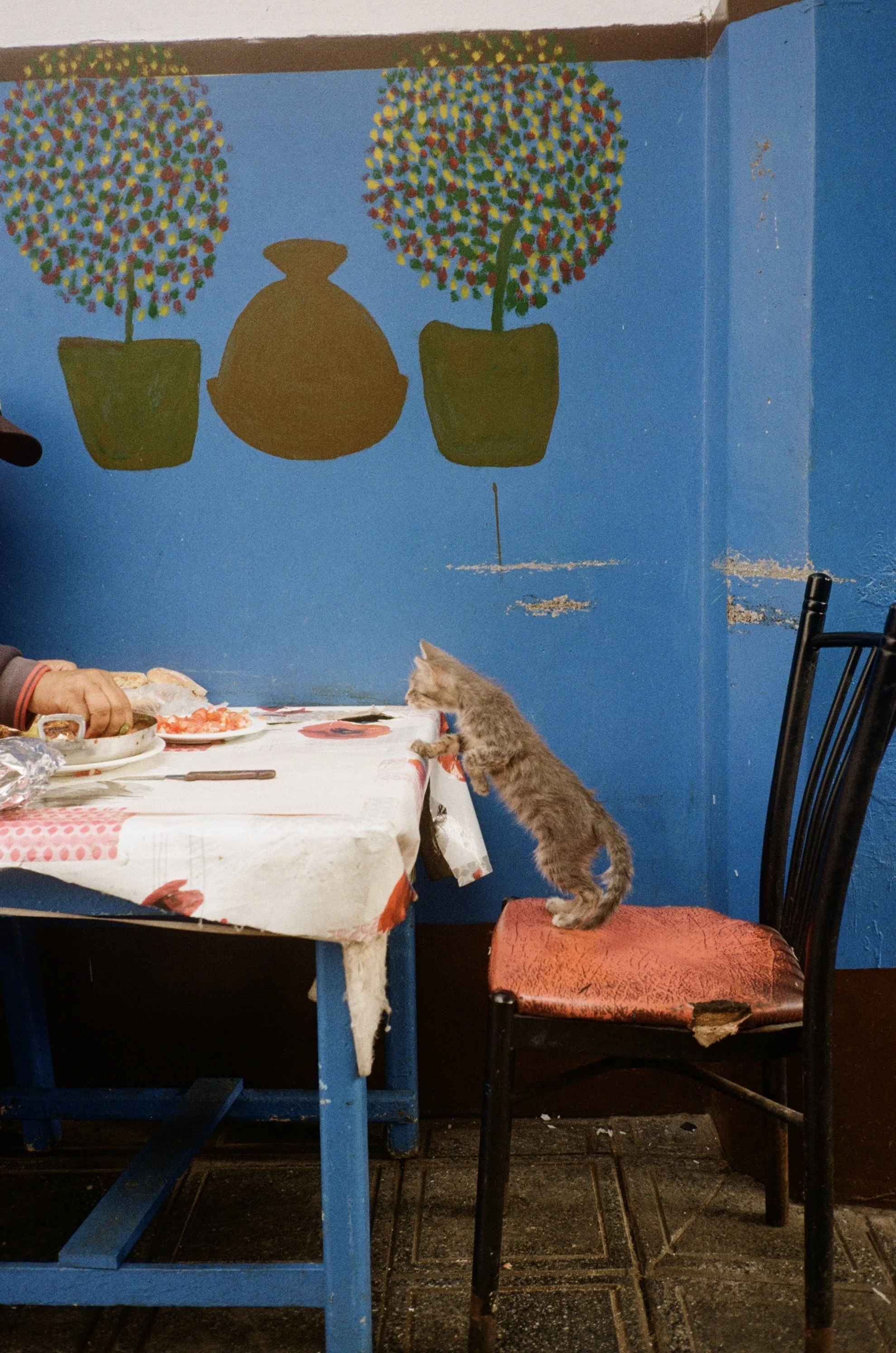 Lunch for two - 2023 (Casablanca, Morocco)
