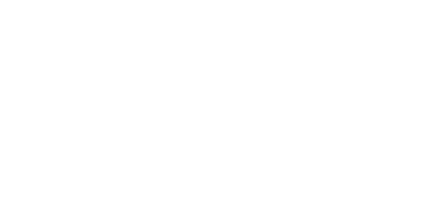 IMPACT EVENT 