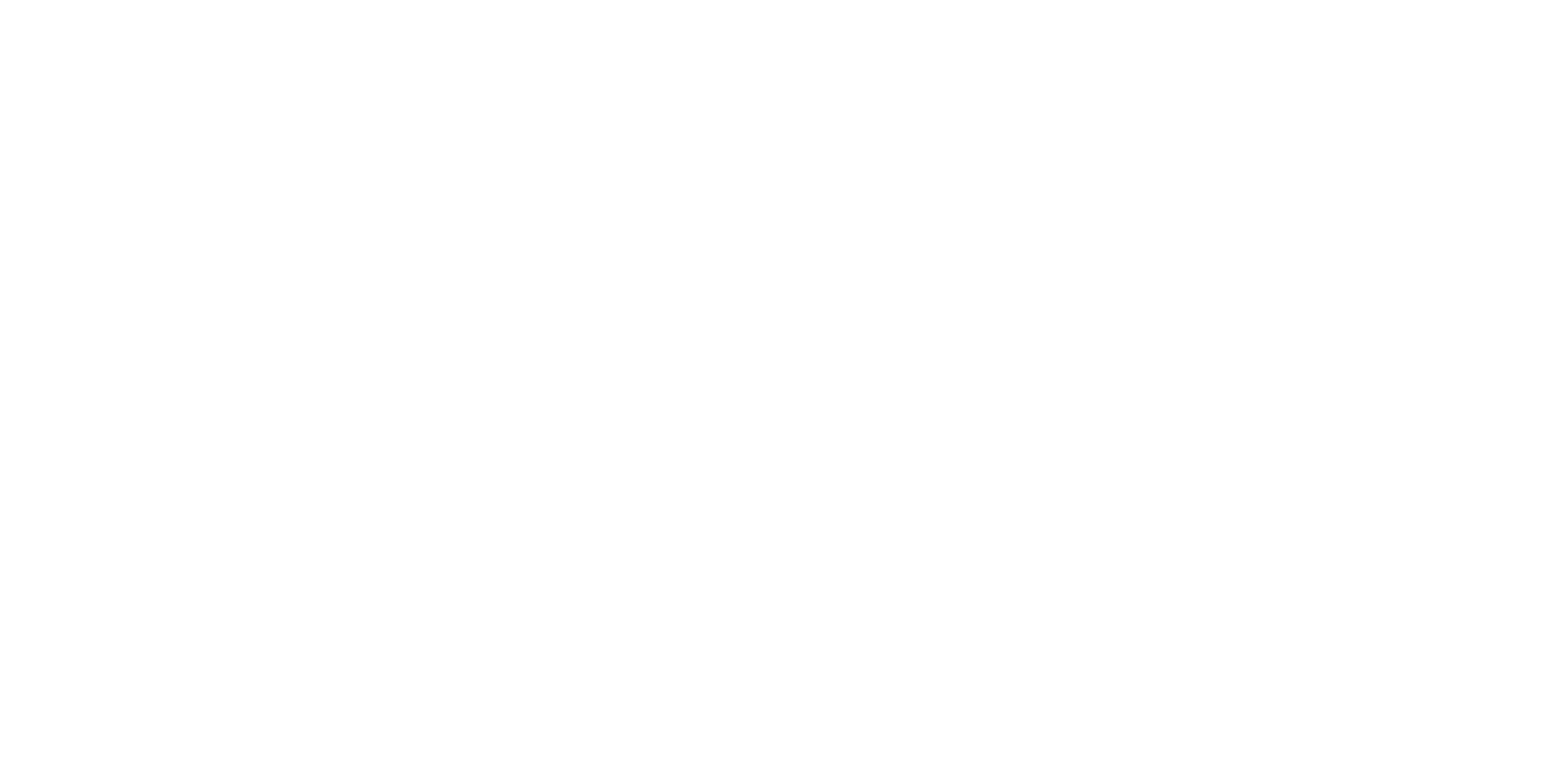 IMPACT EVENT 