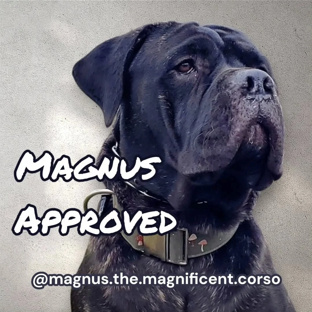 Magnus Approved sticker