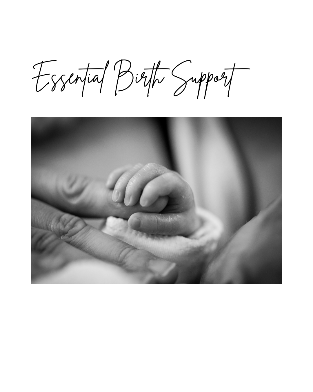 Essential Birth Support