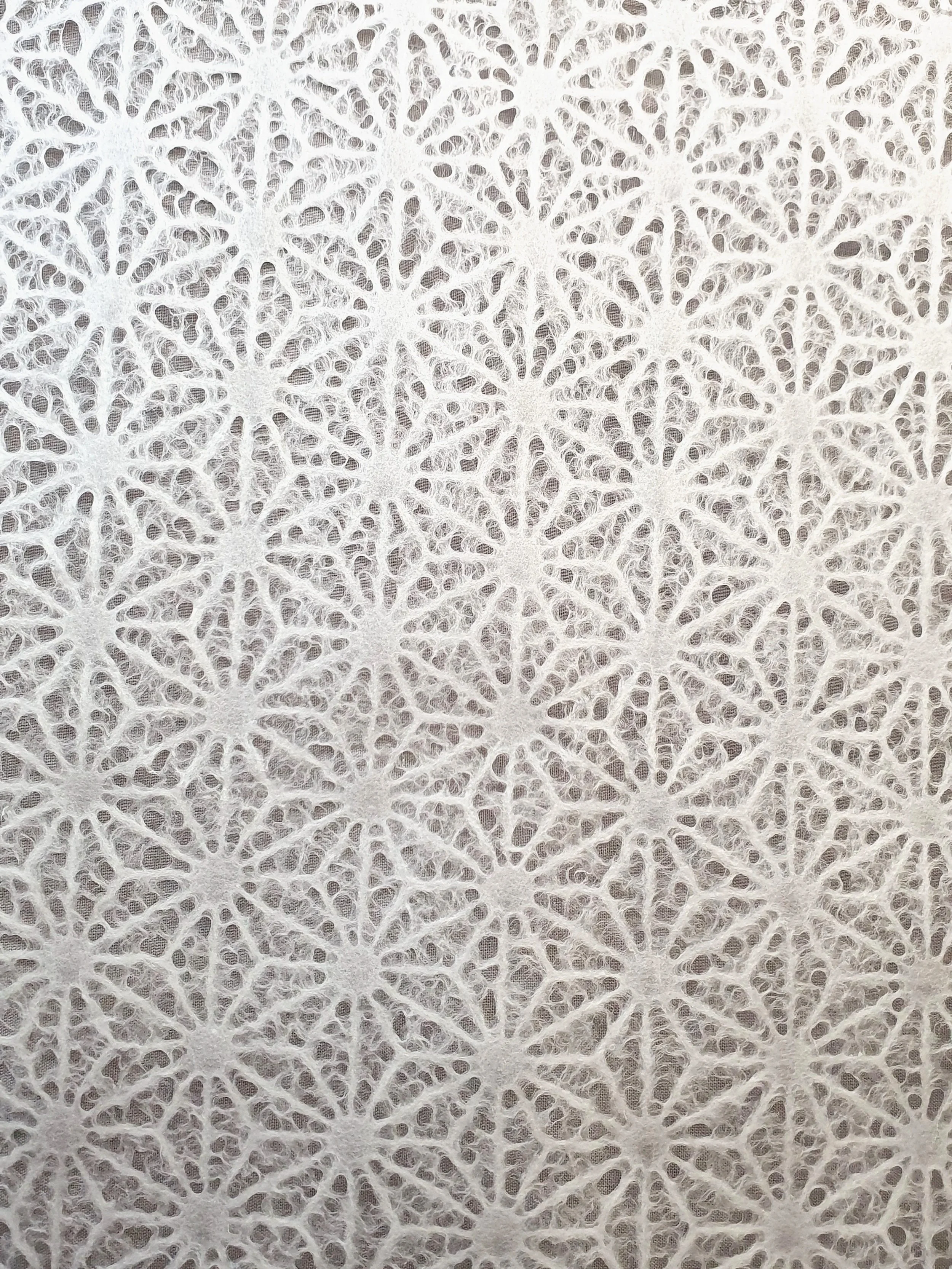 Motif géométrique blanc avec un motif en forme d'étoile à six branches, répétée en motif. Chacun des motifs a un dessin filigrané à l'intérieur.