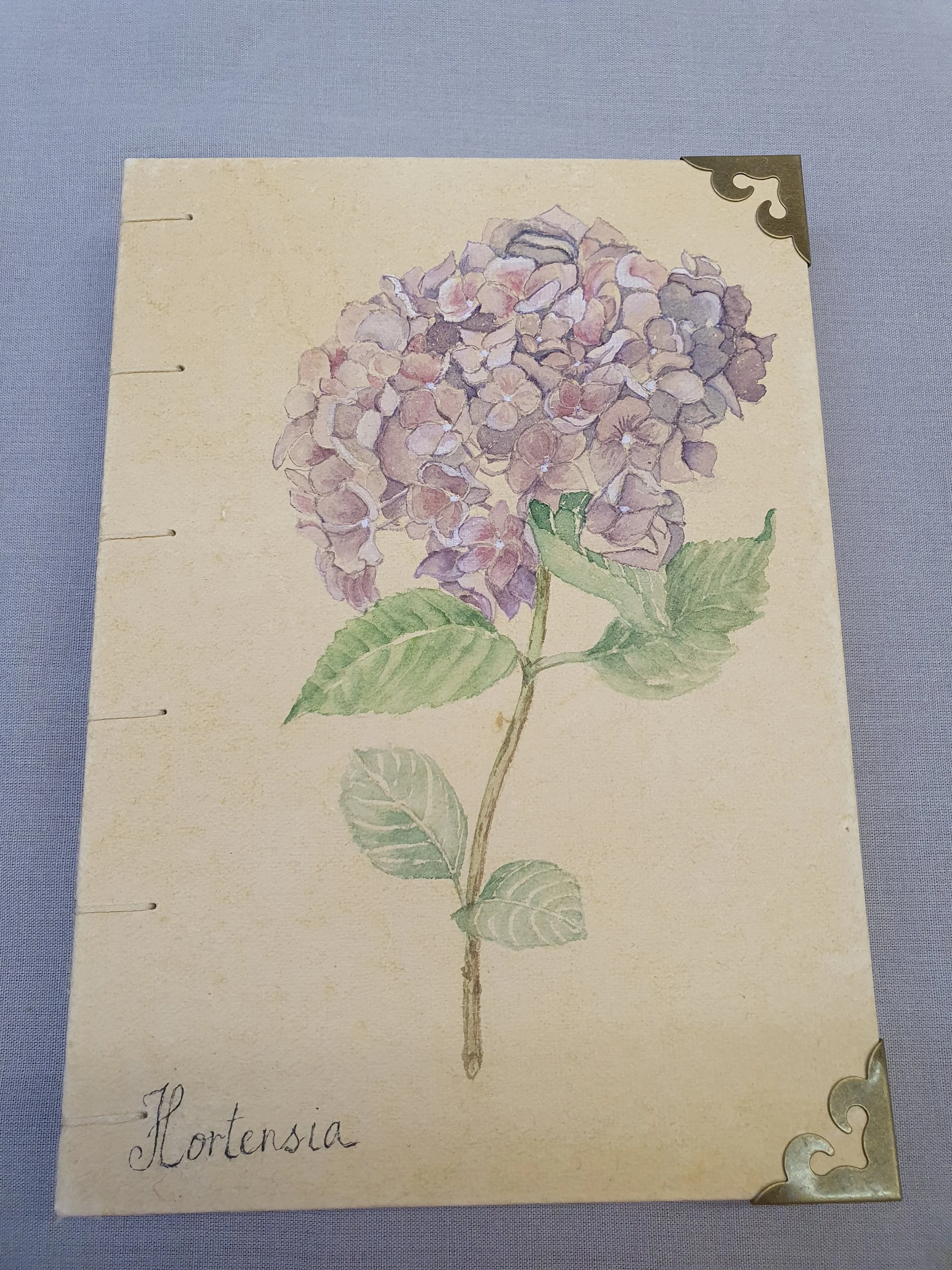 Libretto - Hortensia