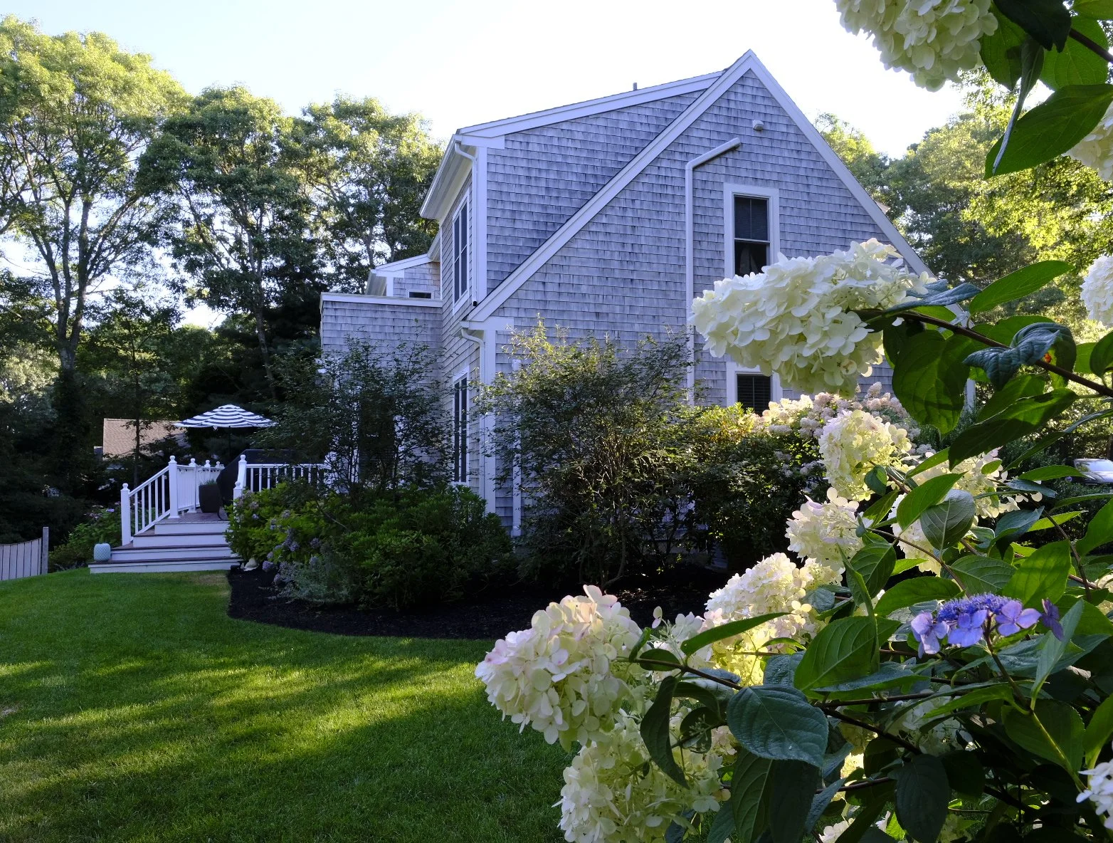 White house with shingle siding, surrounded by lush green trees and a well-maintained lawn, with white hydrangea bushes in the foreground and a patio with an umbrella in the backyard.