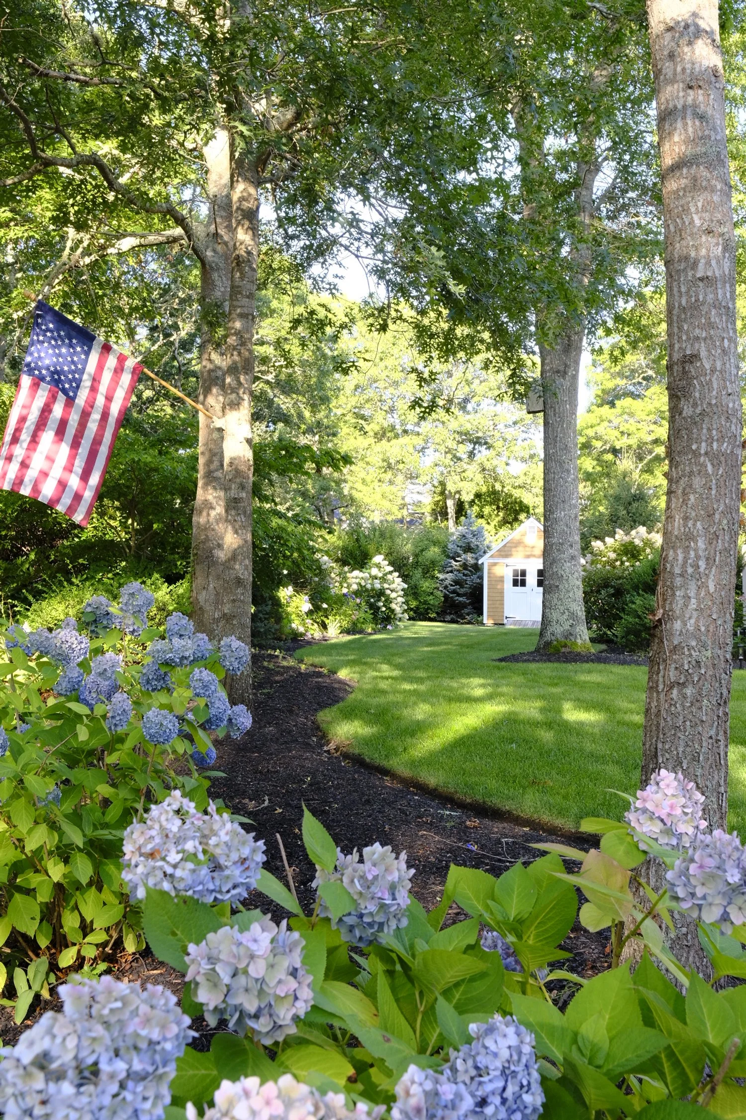 A lush backyard garden with a winding dirt pathway, green grass, blooming hydrangeas, large trees, a small shed in the background, and an American flag hanging from a tree.