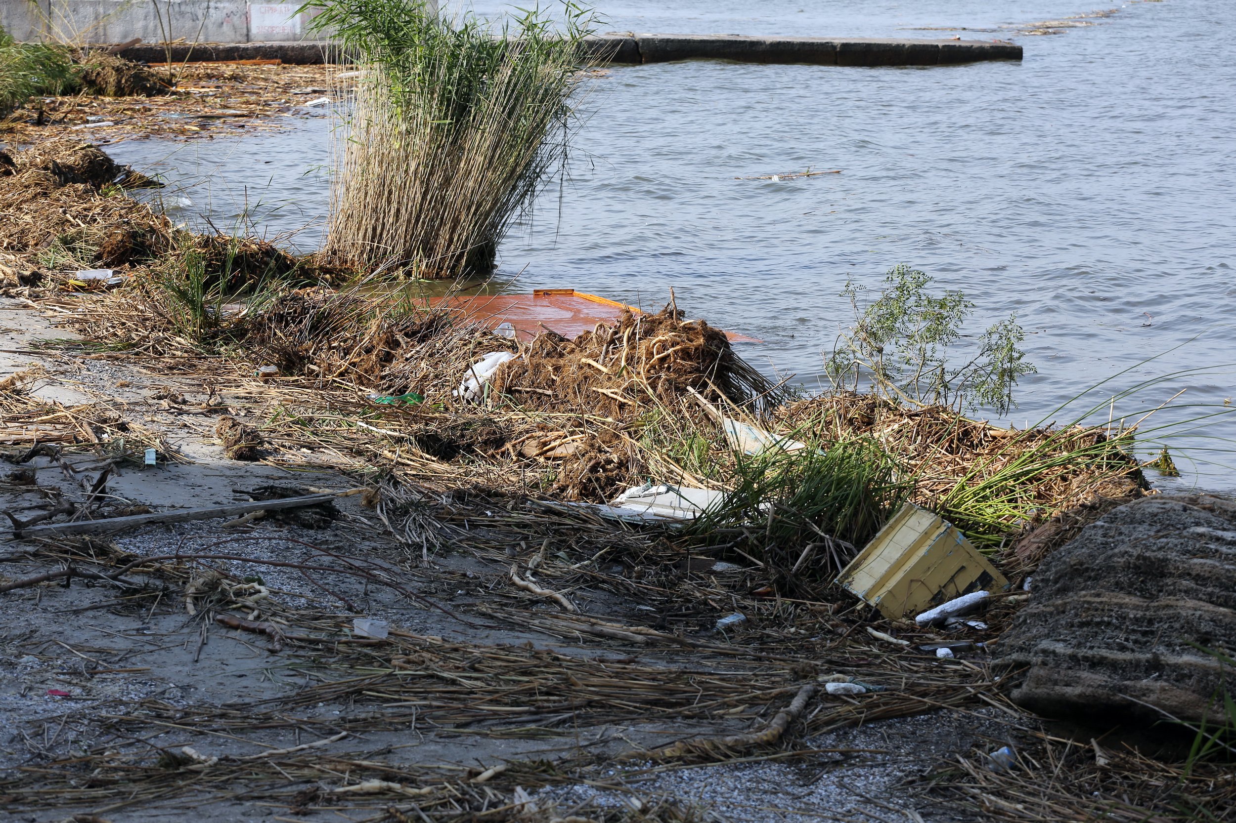 Viacheslav Onyshchenko, Polution after destruction of the Kakhovka Dam in June 2023.