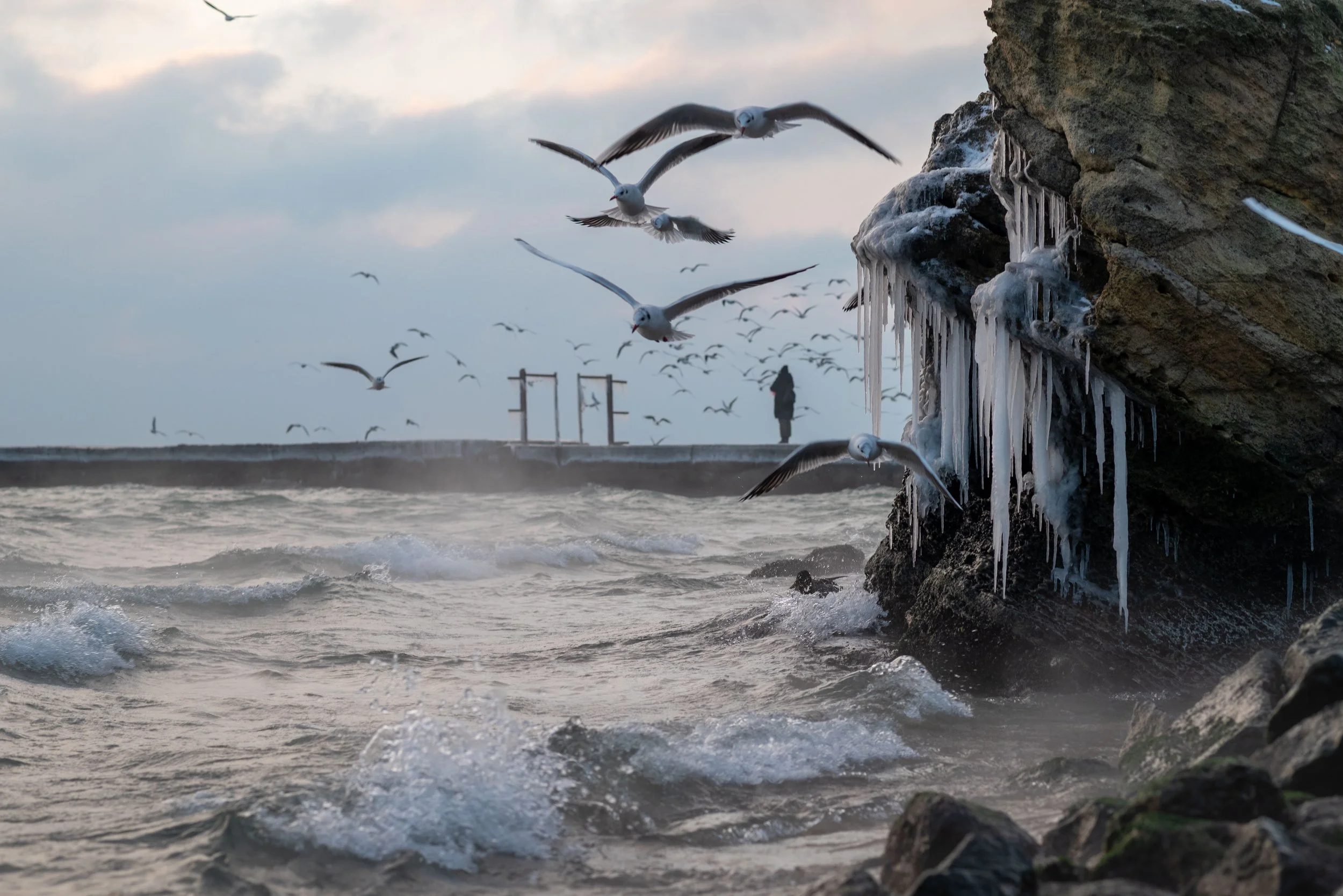 Nataliia Mykhailenko