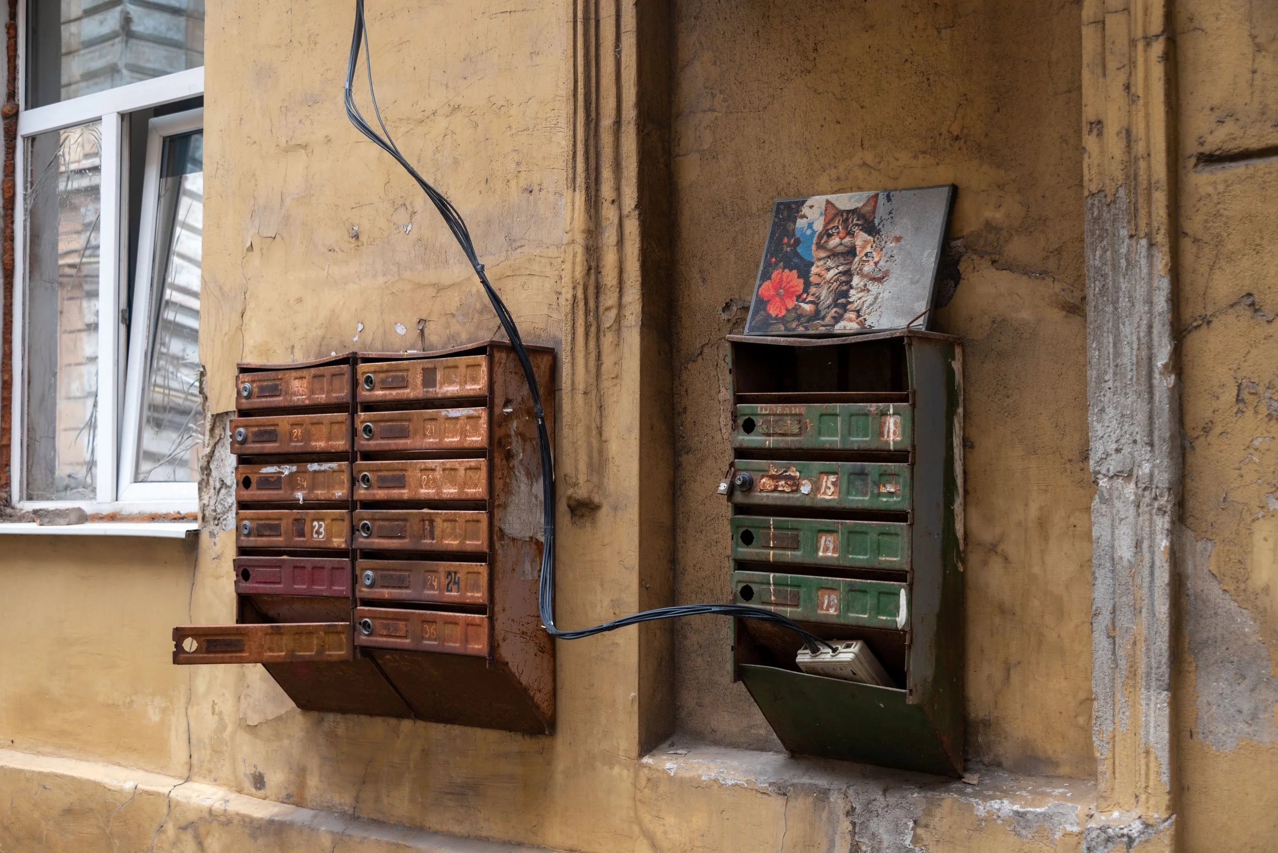 Nataliia Mykhailenko