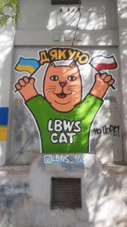 Nataliia Mykhailenko