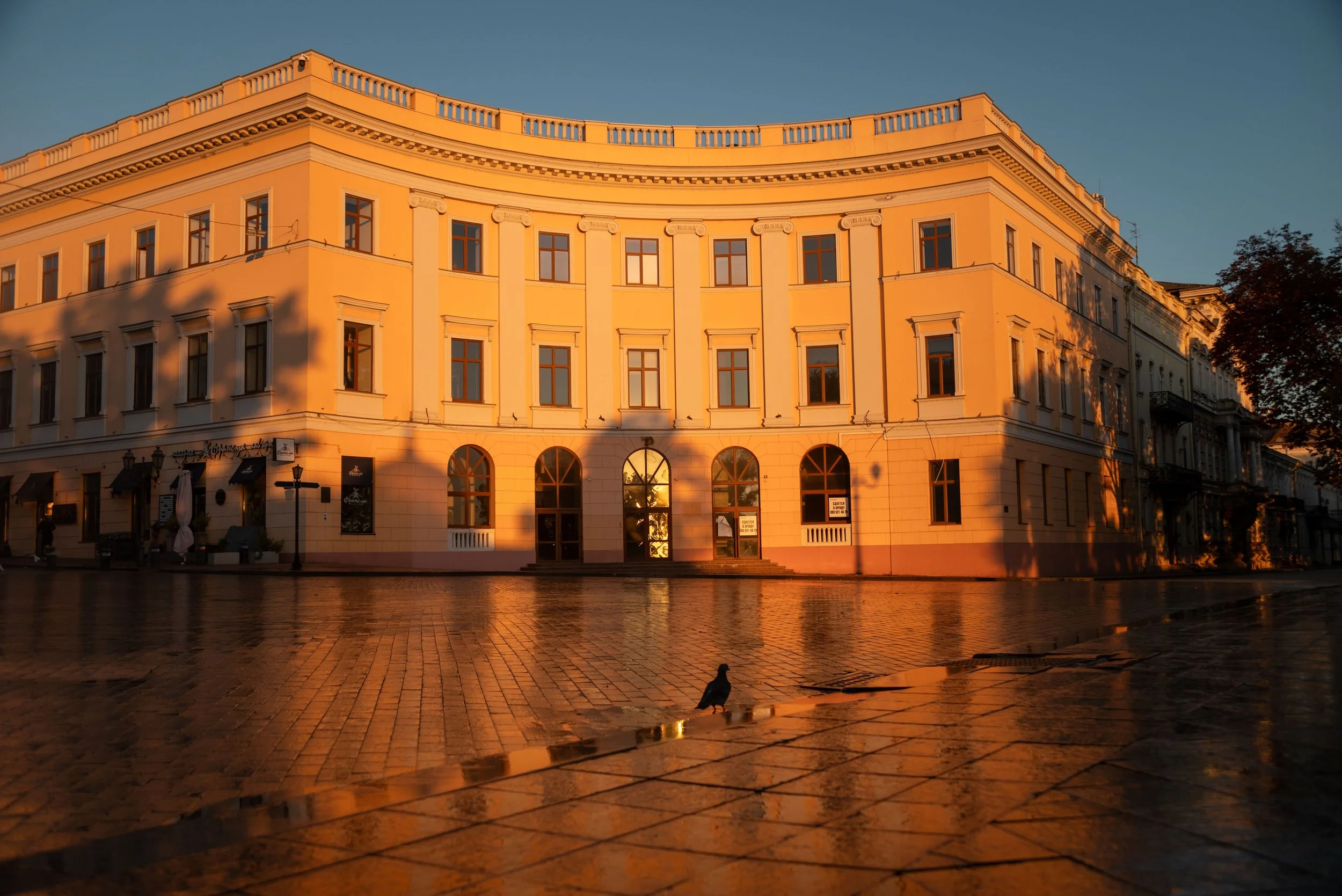 Nataliia Mykhailenko