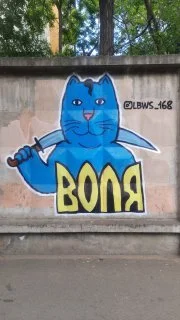 Nataliia Mykhailenko