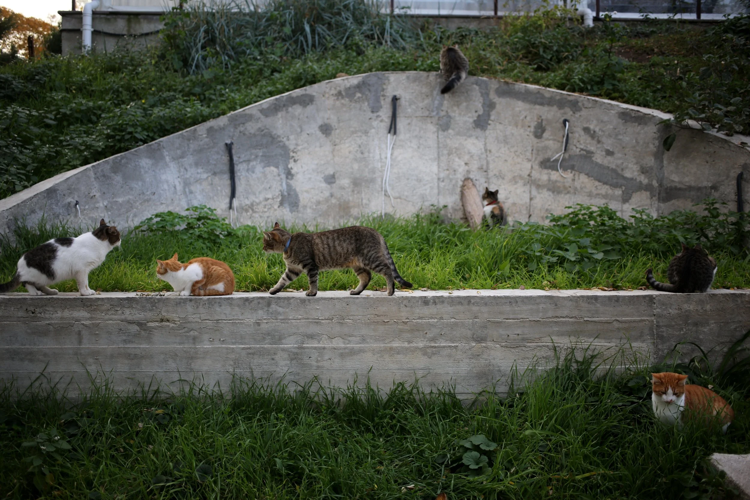 Viacheslav Onyshchenko