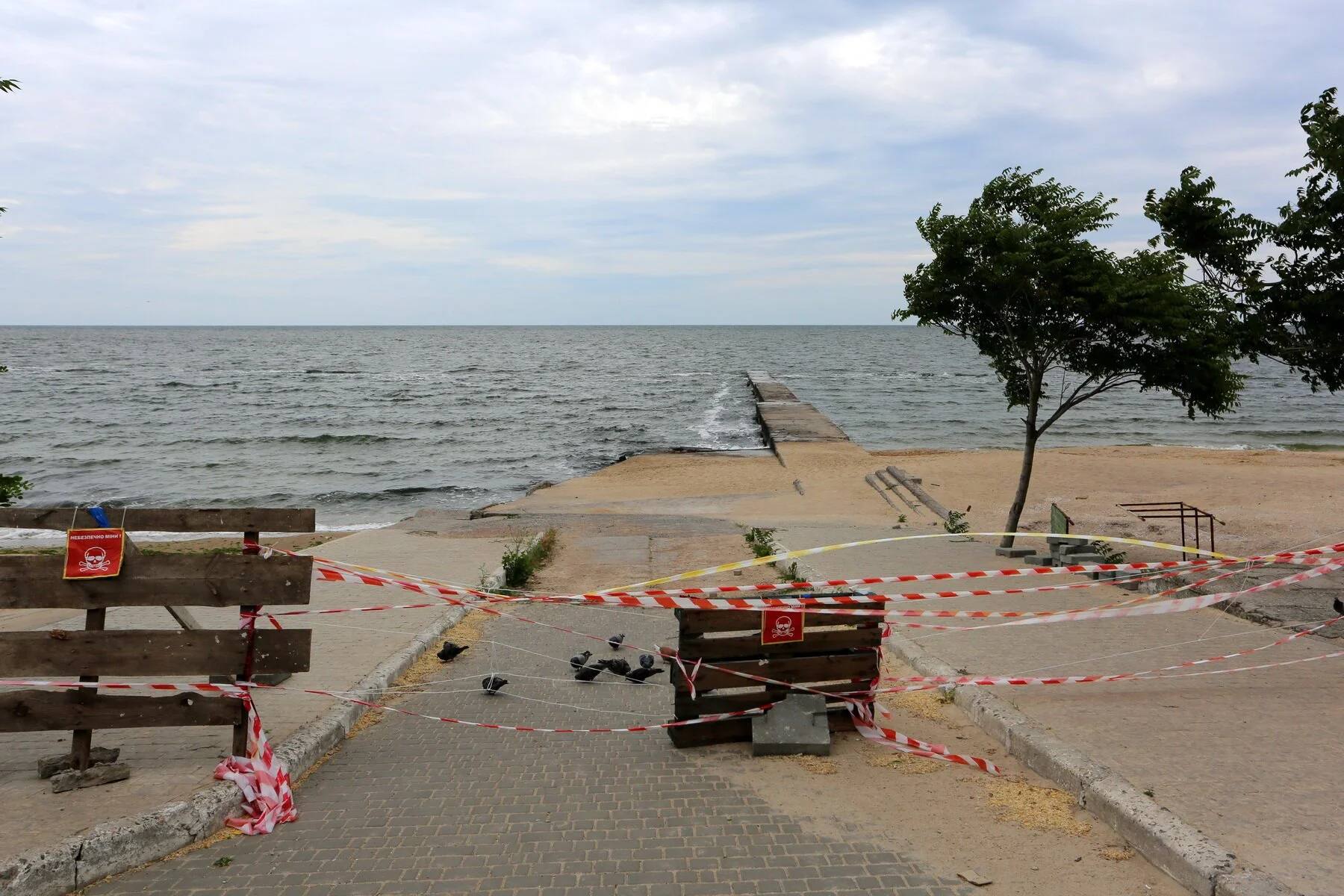 Viacheslav Onyshchenko