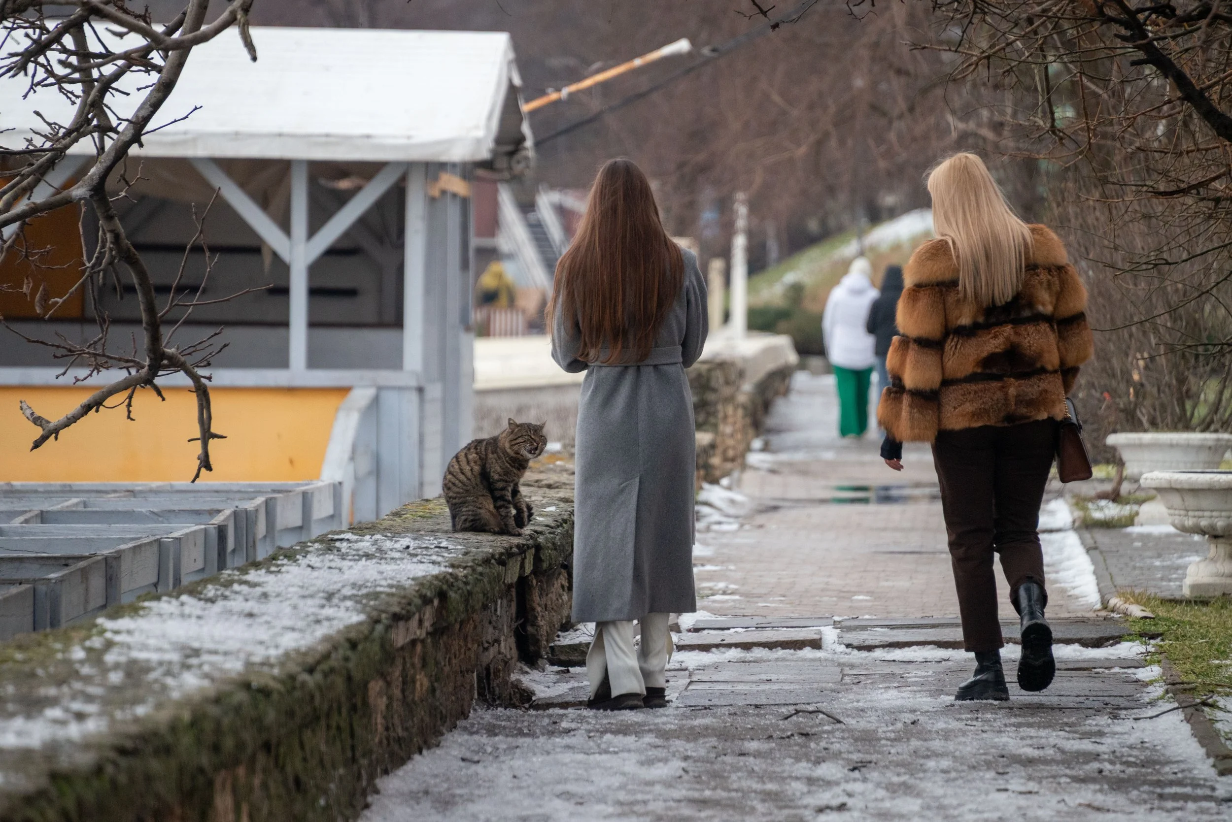 Nataliia Mykhailenko