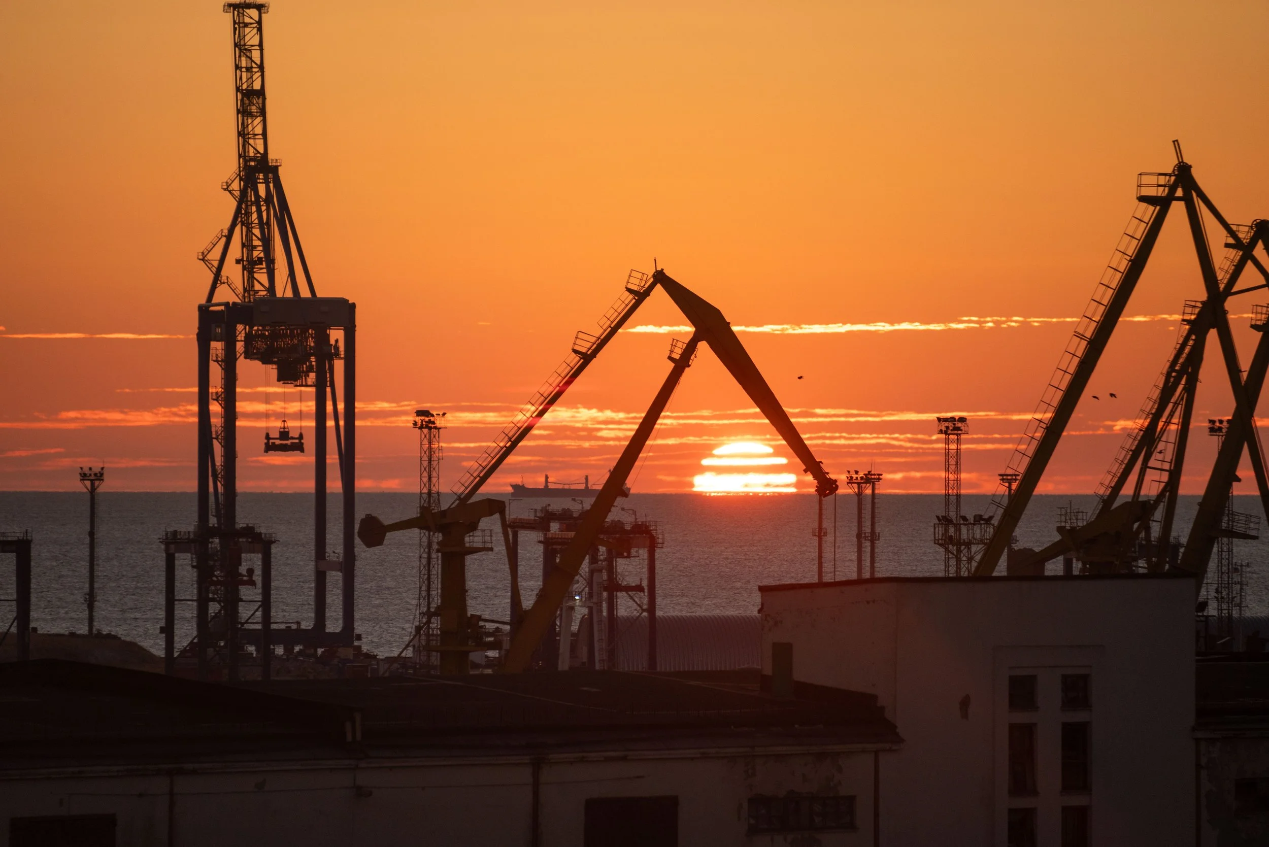 Nataliia Mykhailenko