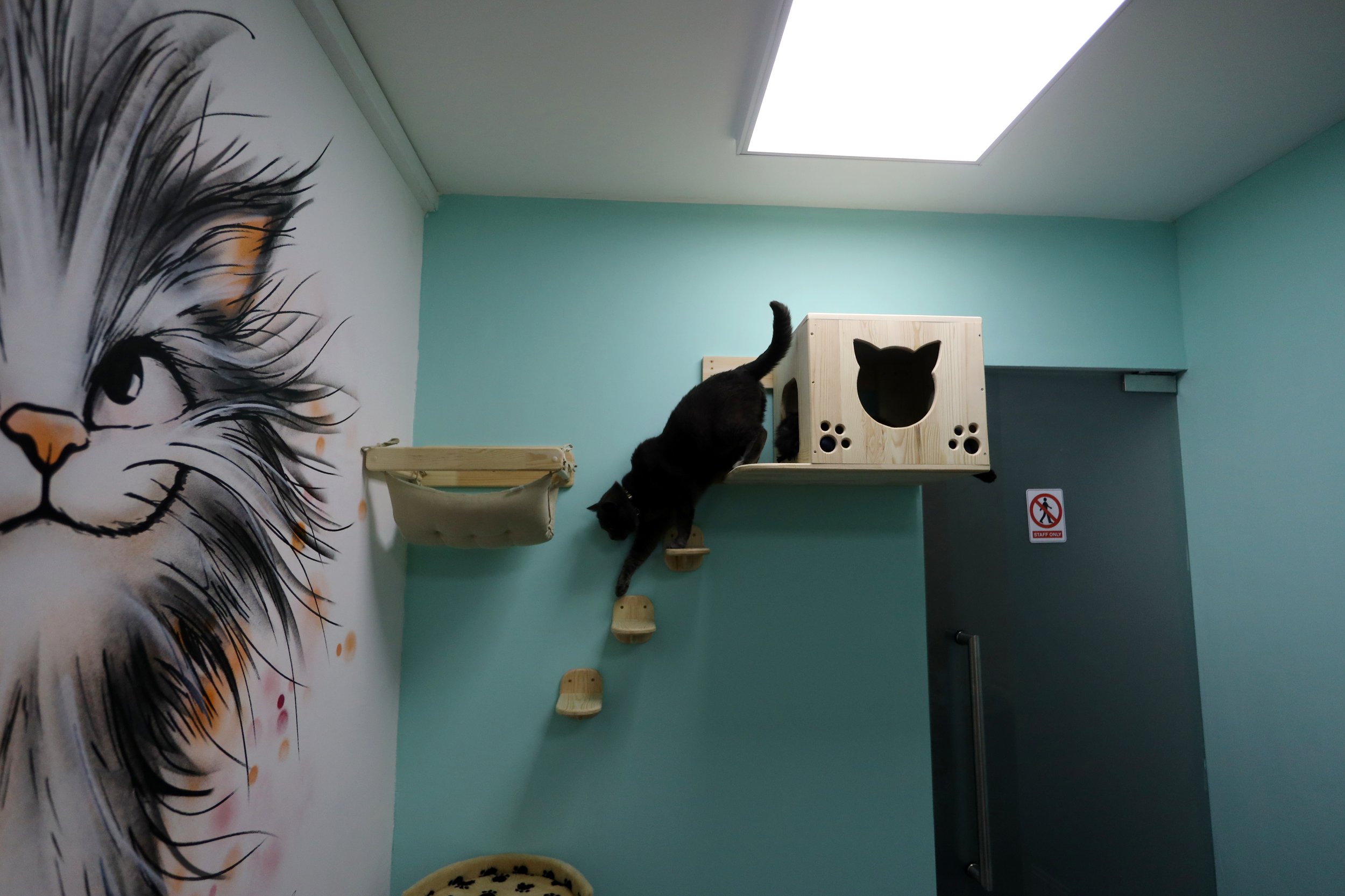 Viacheslav Onyshchenko