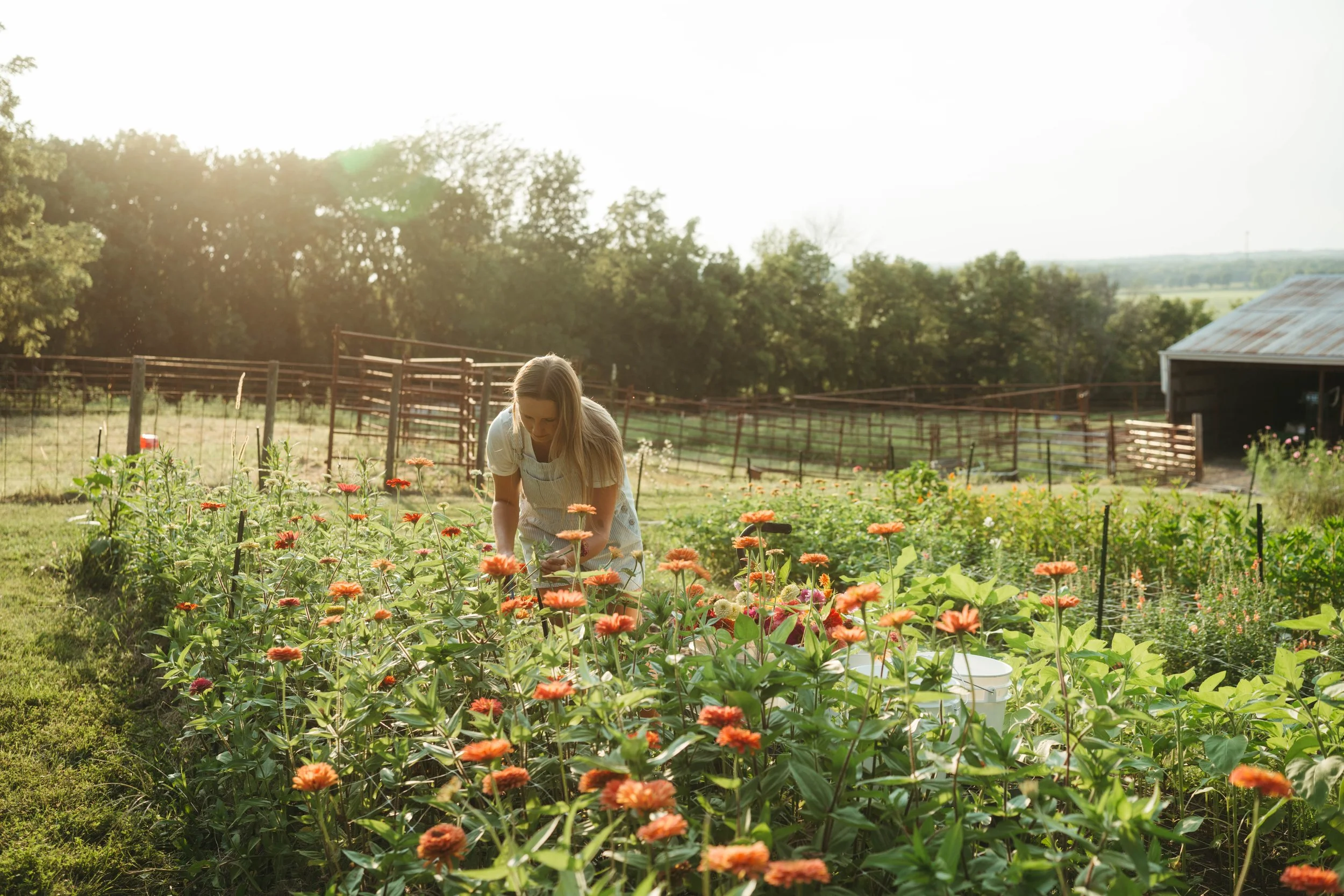 Hobby to Side Hustle - Blog 1