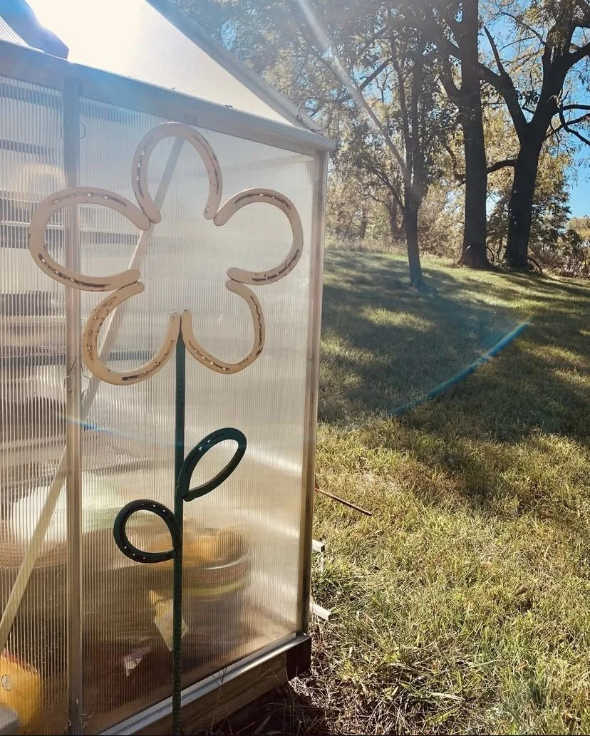 Grandmas and Flowers - Blog 3