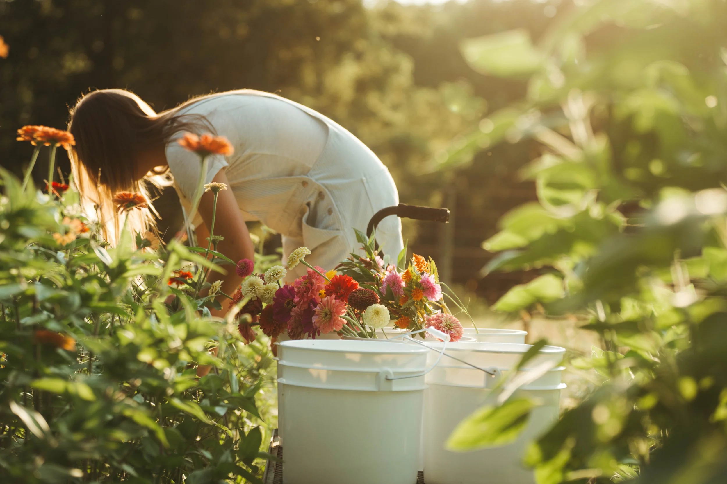 Pests are a Pest - Blog 5