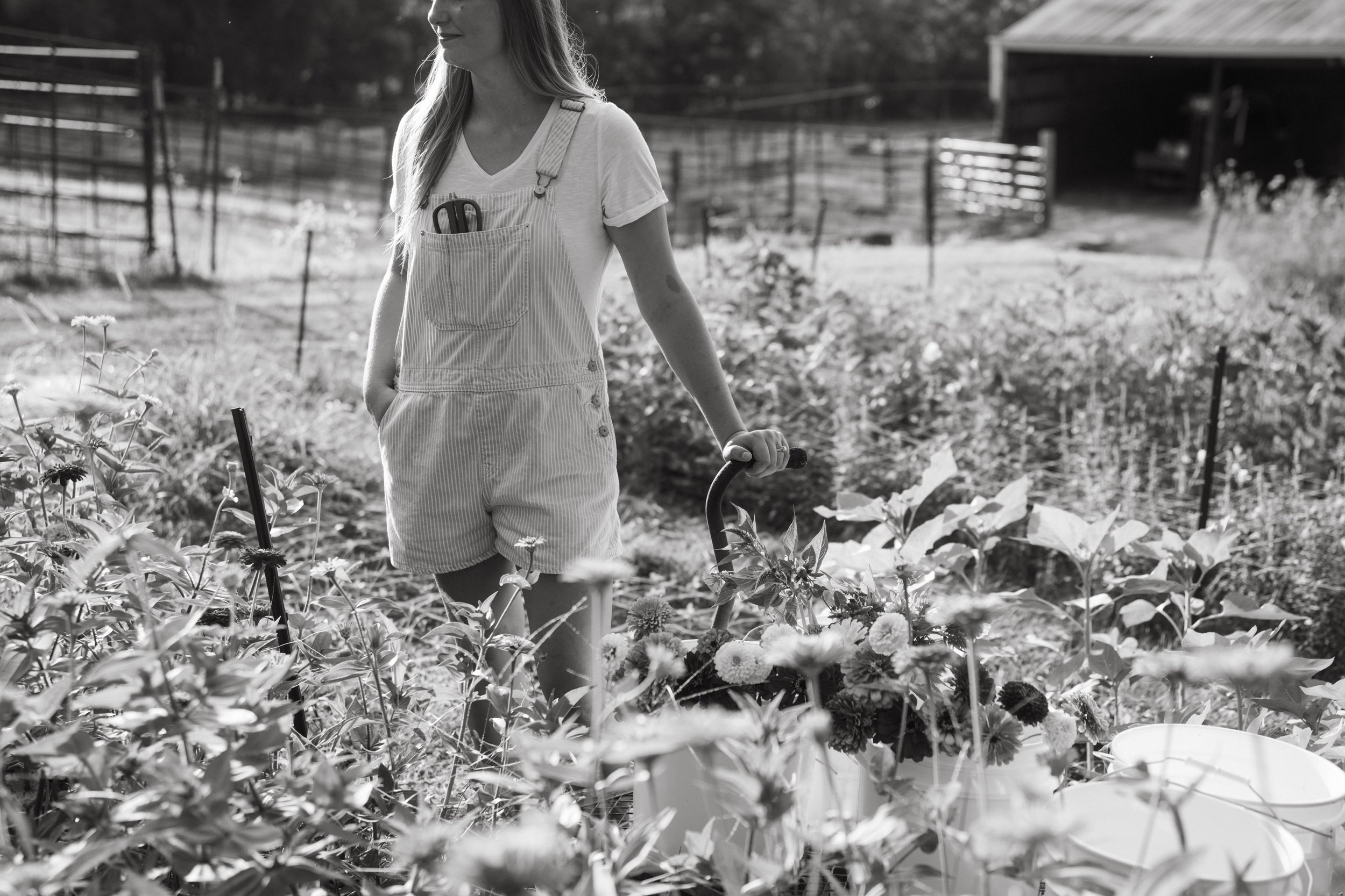 Ordinary, yet Extraordinary- Blog 7