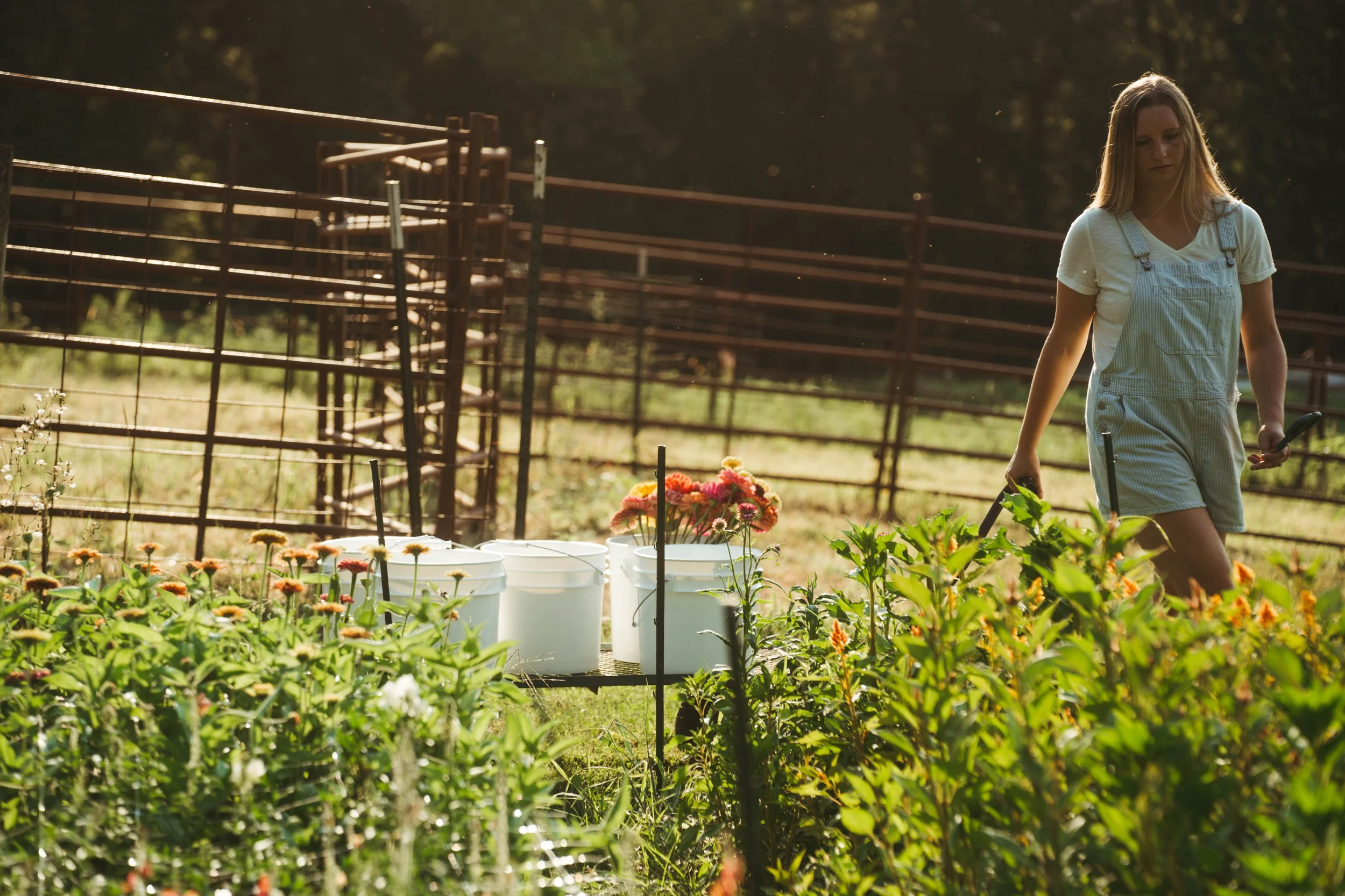 A woman in overalls tending to a garden with flowering plants, buckets, and tools, surrounded by a metal fence in sunlight.