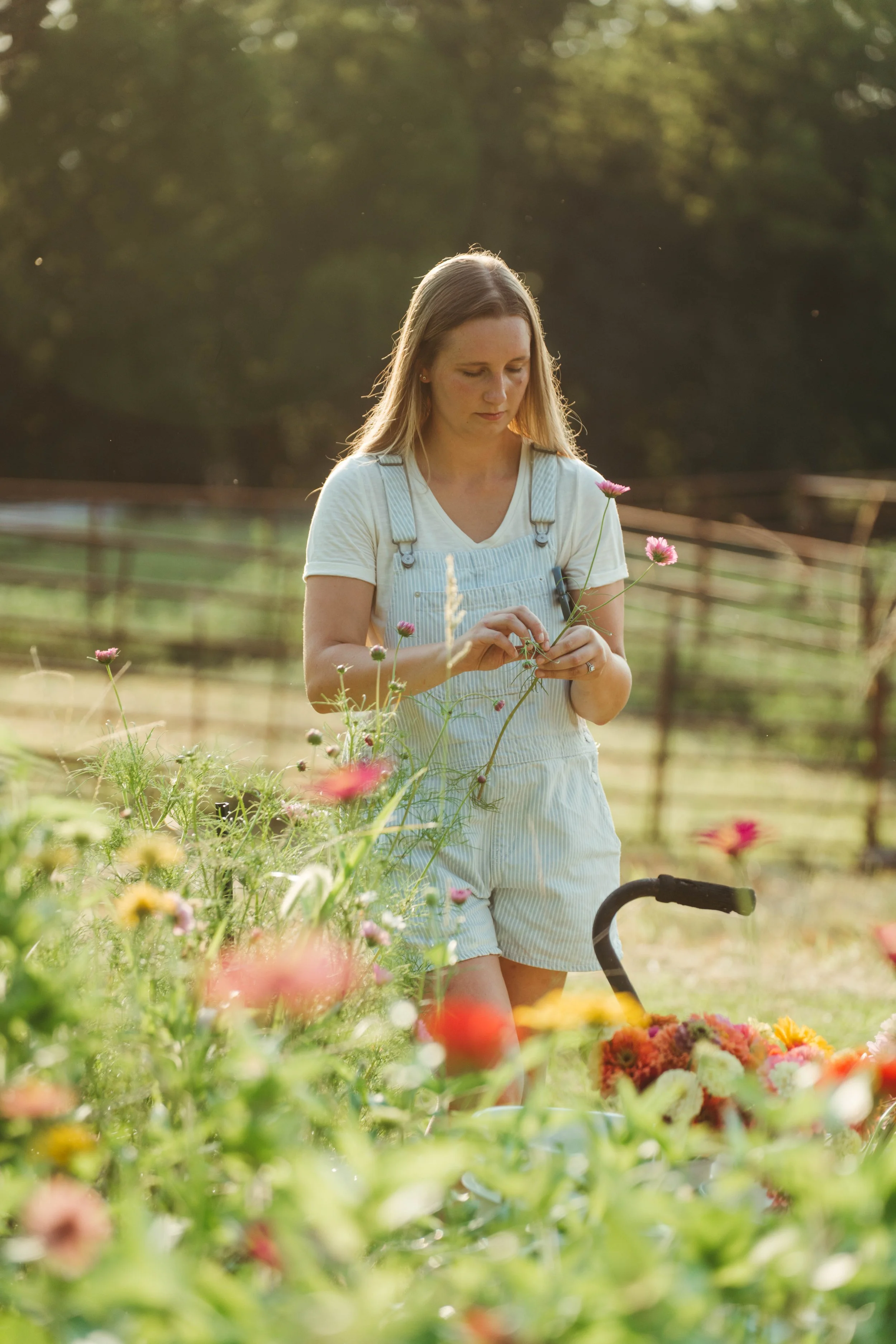 A young woman with long blonde hair, wearing a white t-shirt and light-colored overalls, is standing in a garden surrounded by colorful flowers. She is holding a pink flower in one hand and appears to be examining or harvesting it, with a wheelbarrow nearby. The background shows a rustic wooden fence and trees, bathed in warm sunlight.