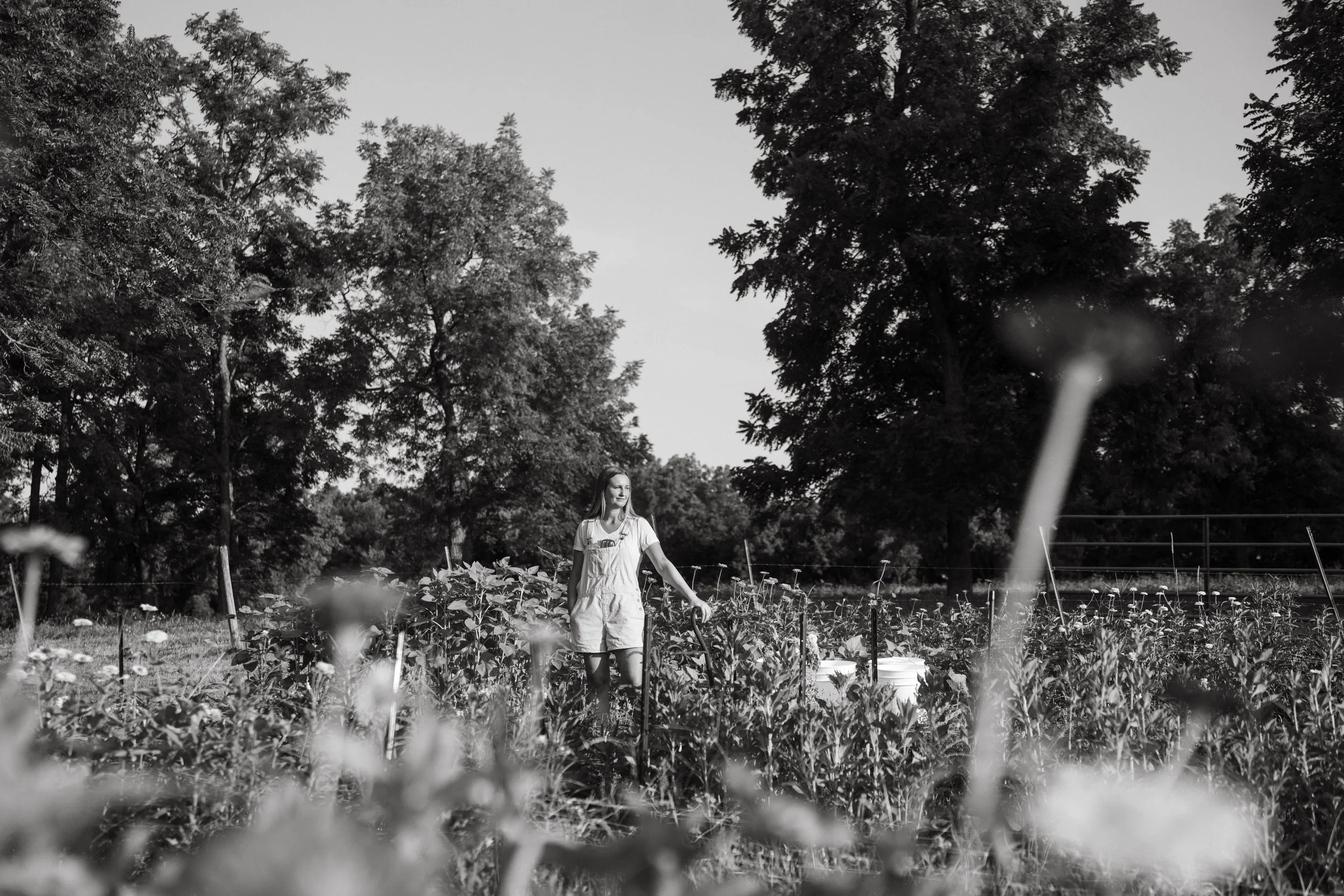 A woman watering plants in a garden with trees in the background, in black and white.