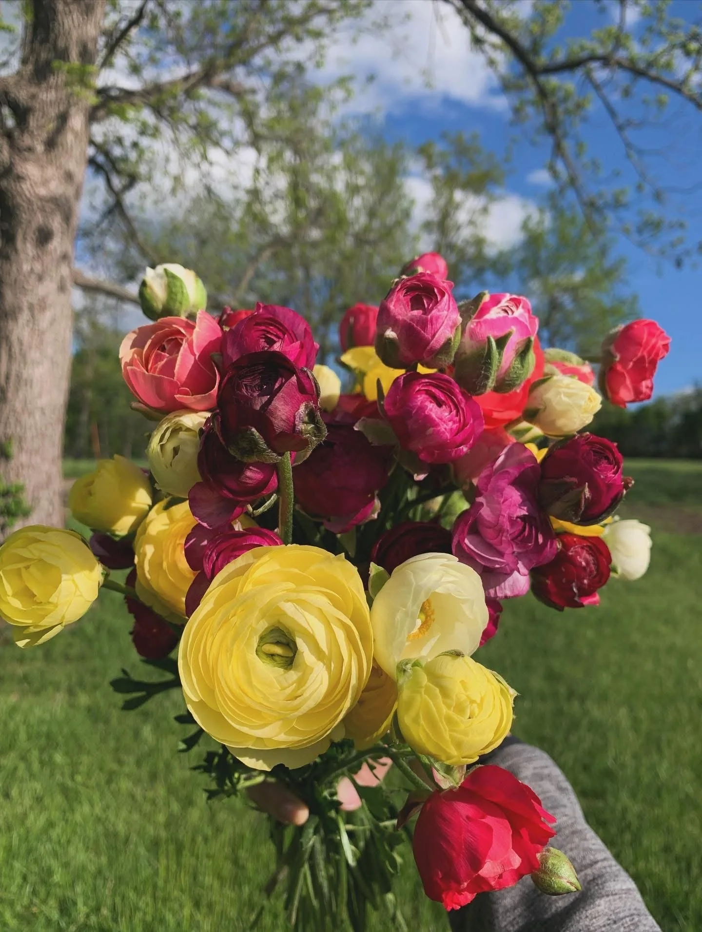 Spring Flower Subscription (3 Bouquet Package)