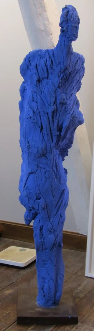 1 Pelerin bleu terre.JPG