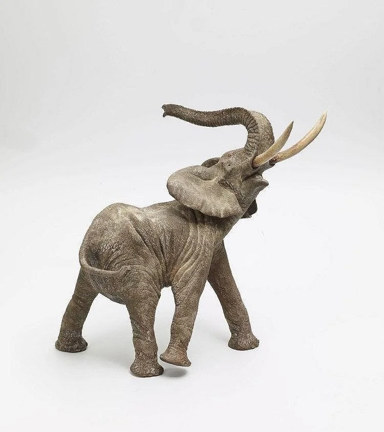 Francois Vandenberghe 1.jpg