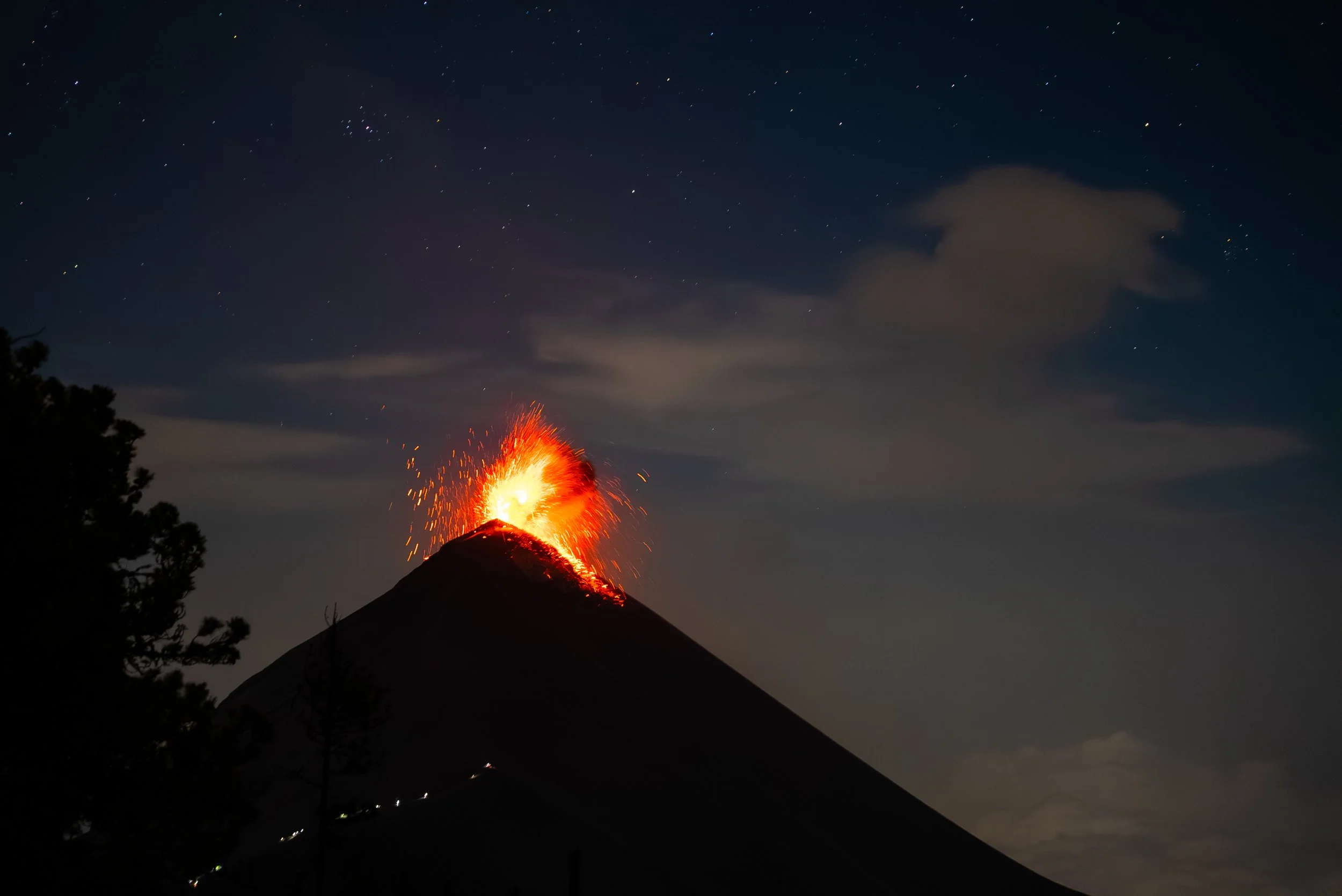 DSC09579.jpg