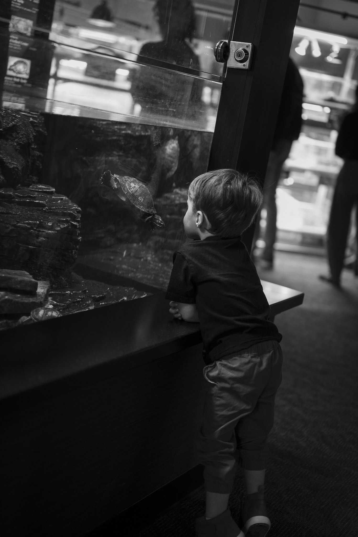 Aquarium No WM-11.jpg