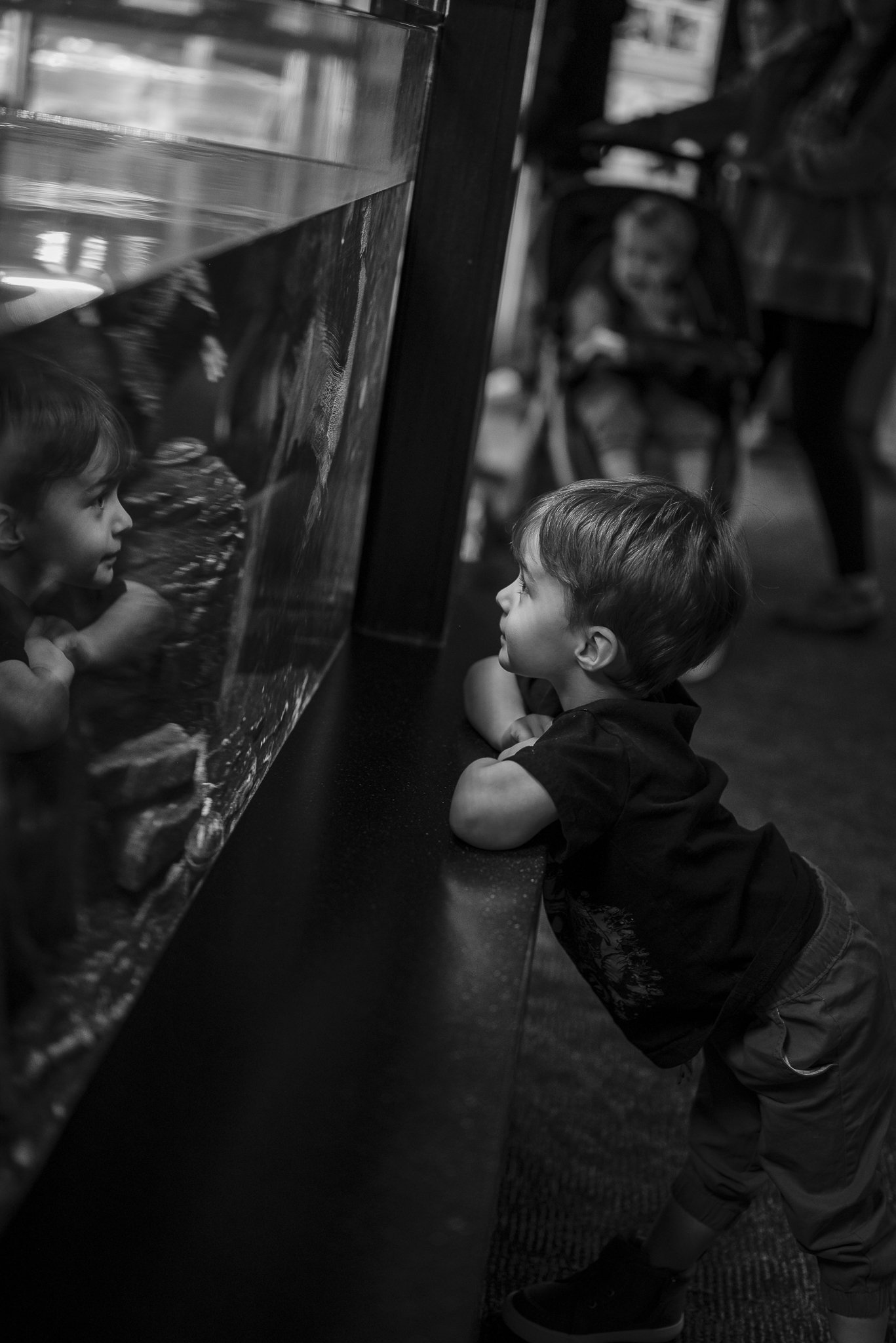 Aquarium No WM-12.jpg