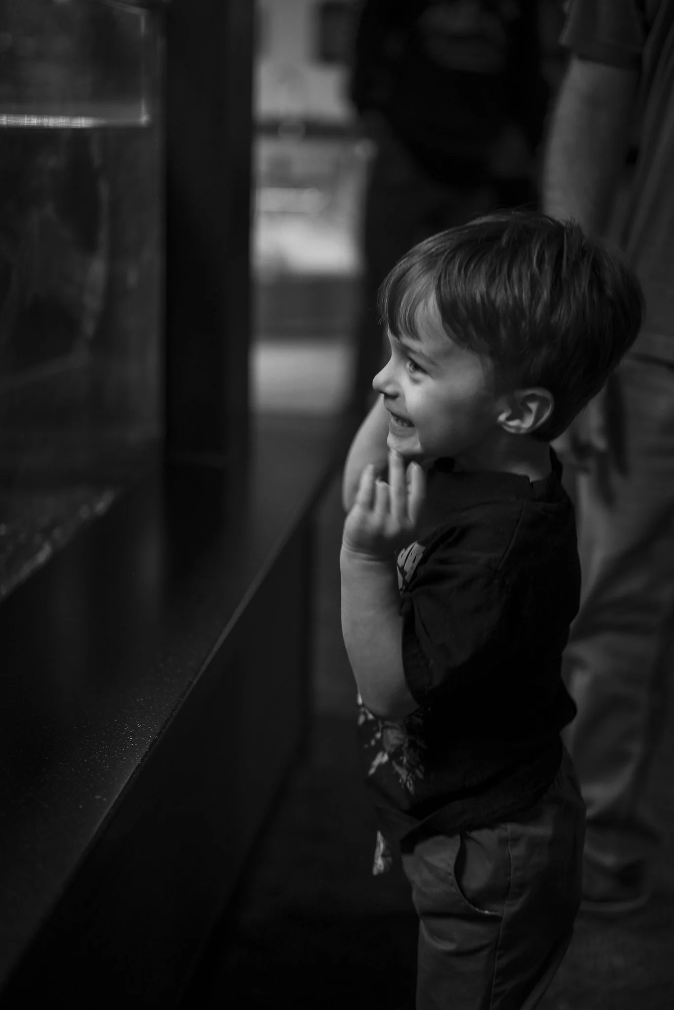 Aquarium No WM-14.jpg