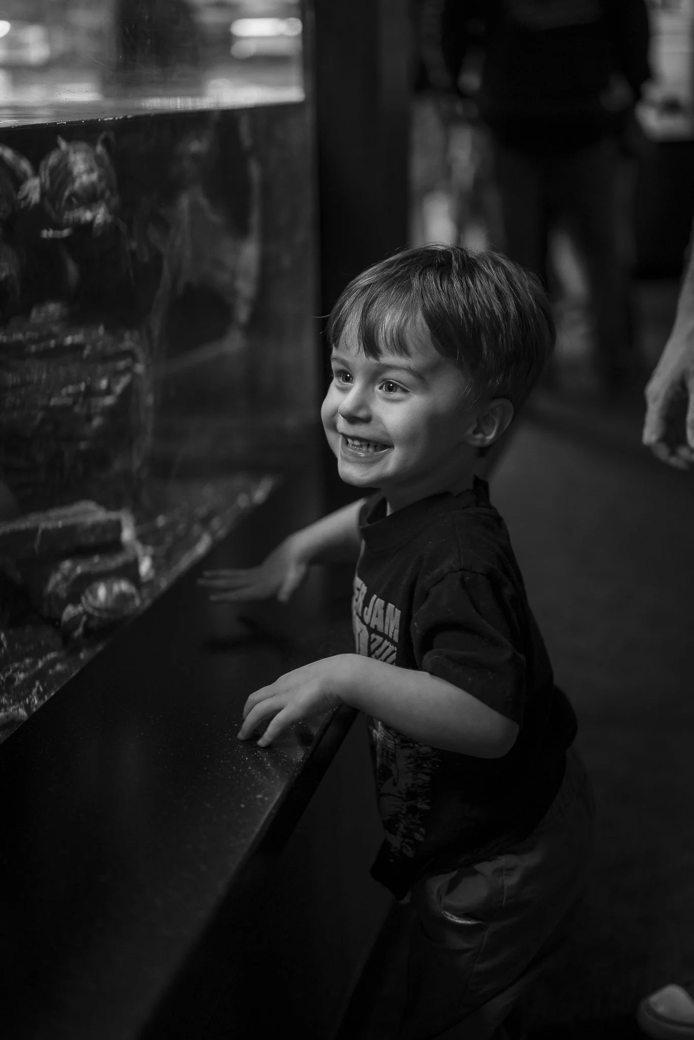 Aquarium No WM-15.jpg