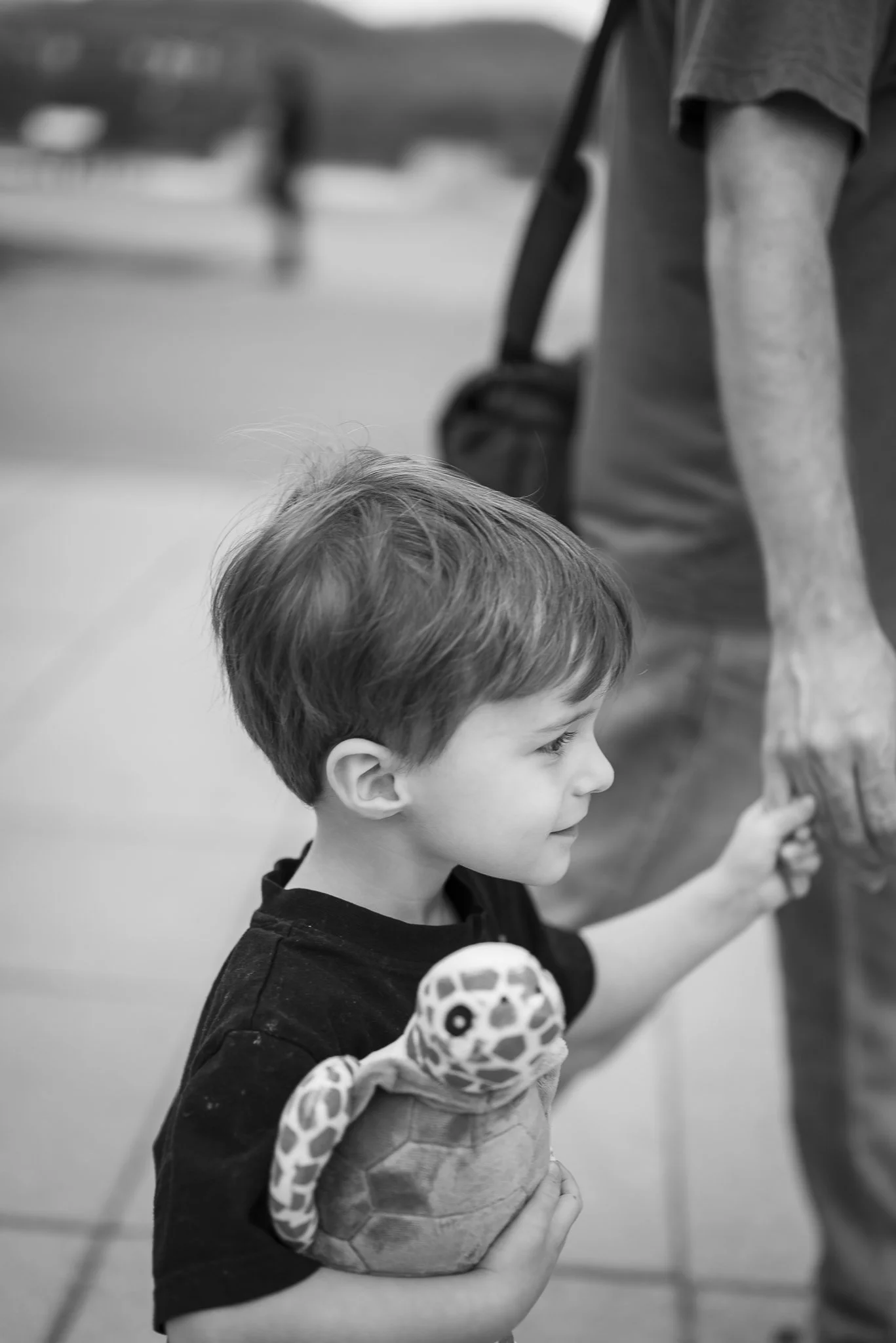 Aquarium No WM-34.jpg