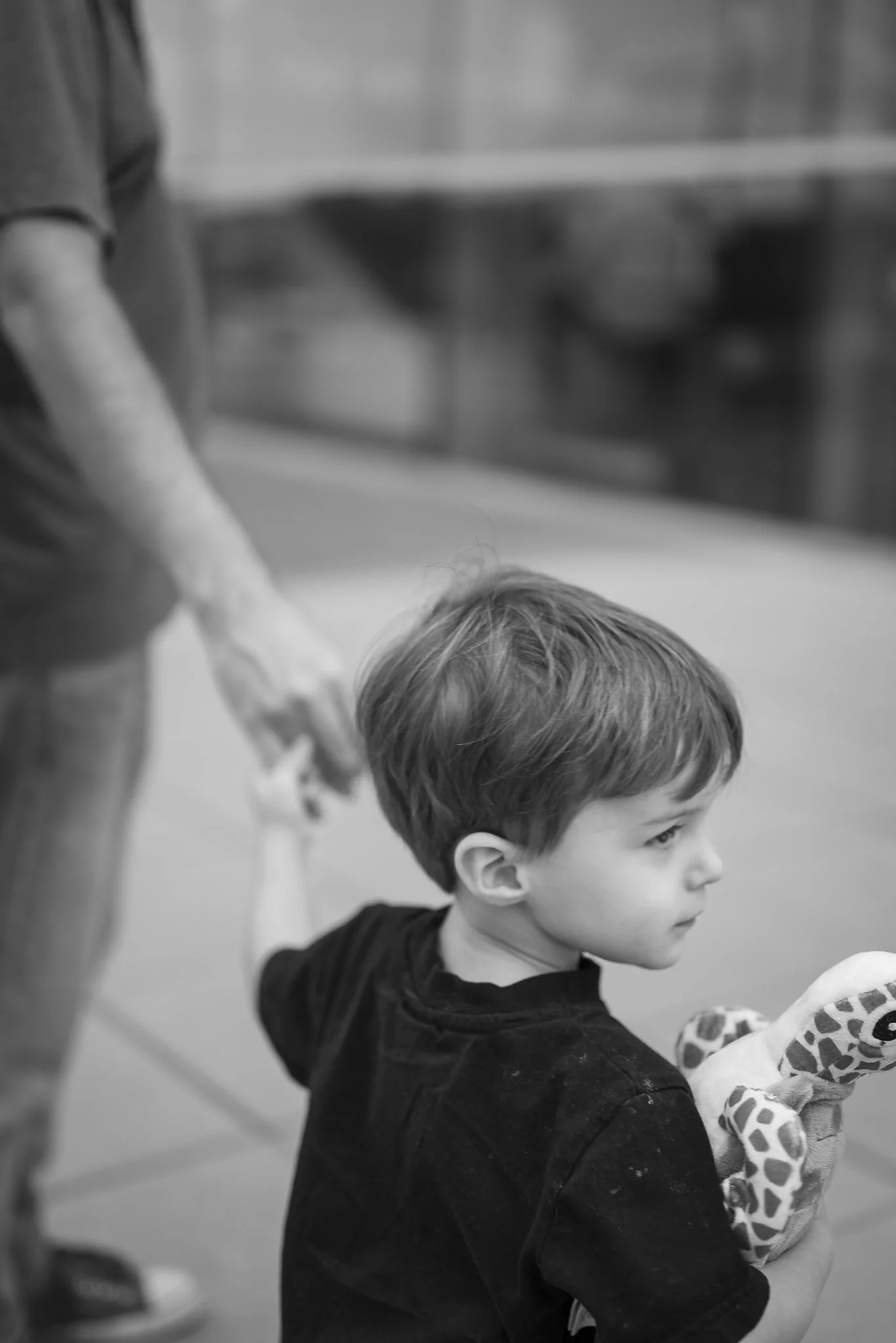 Aquarium No WM-35.jpg