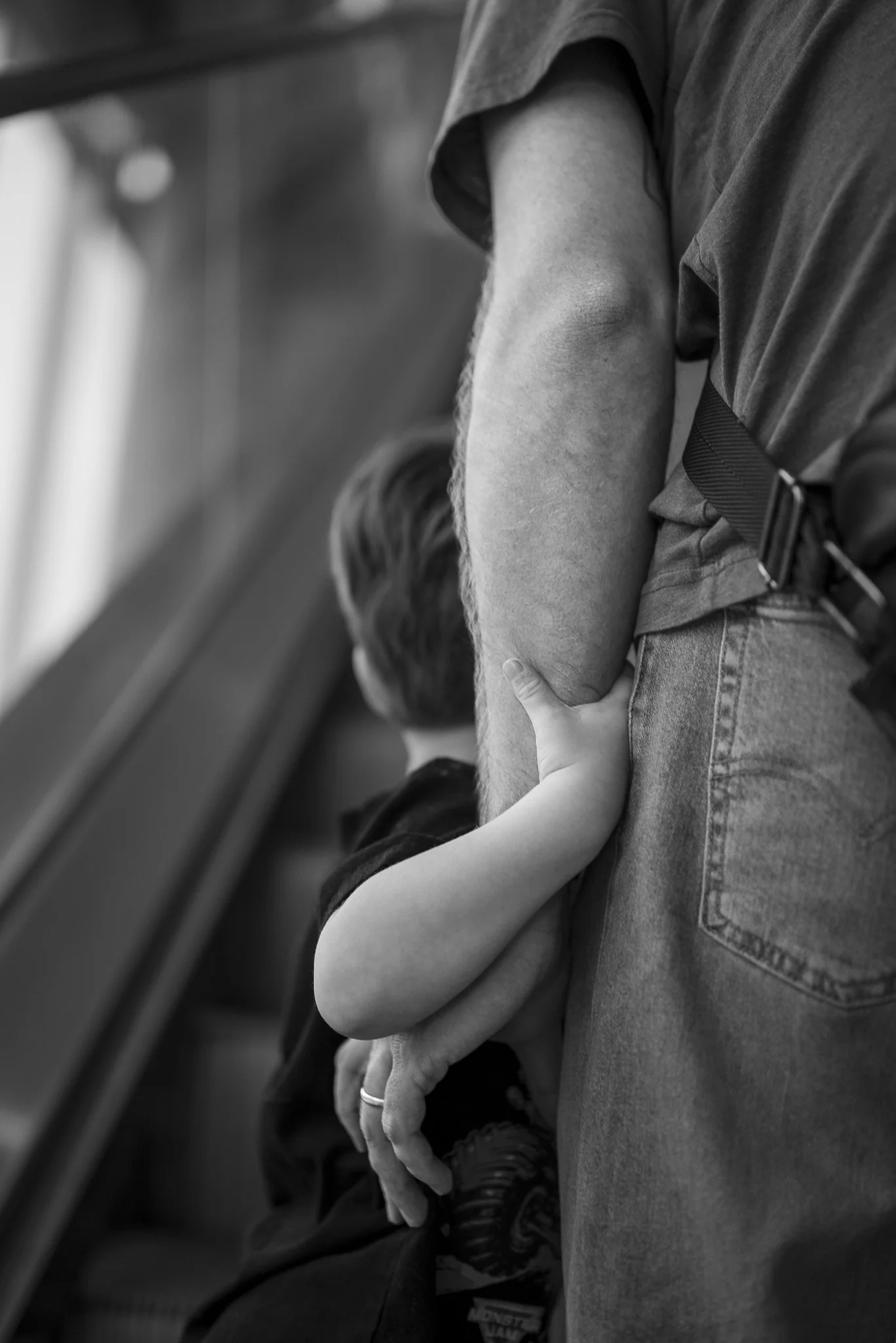 Aquarium No WM-41.jpg