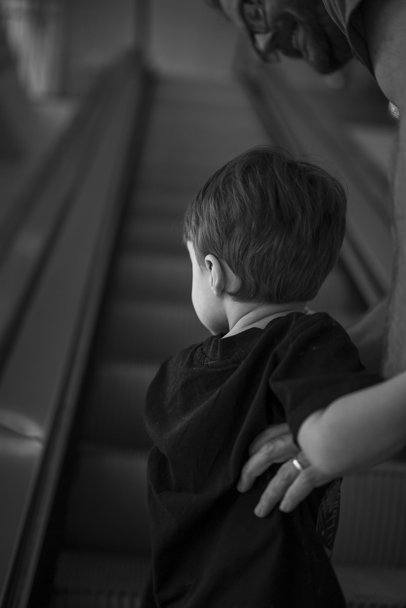 Aquarium No WM-42.jpg