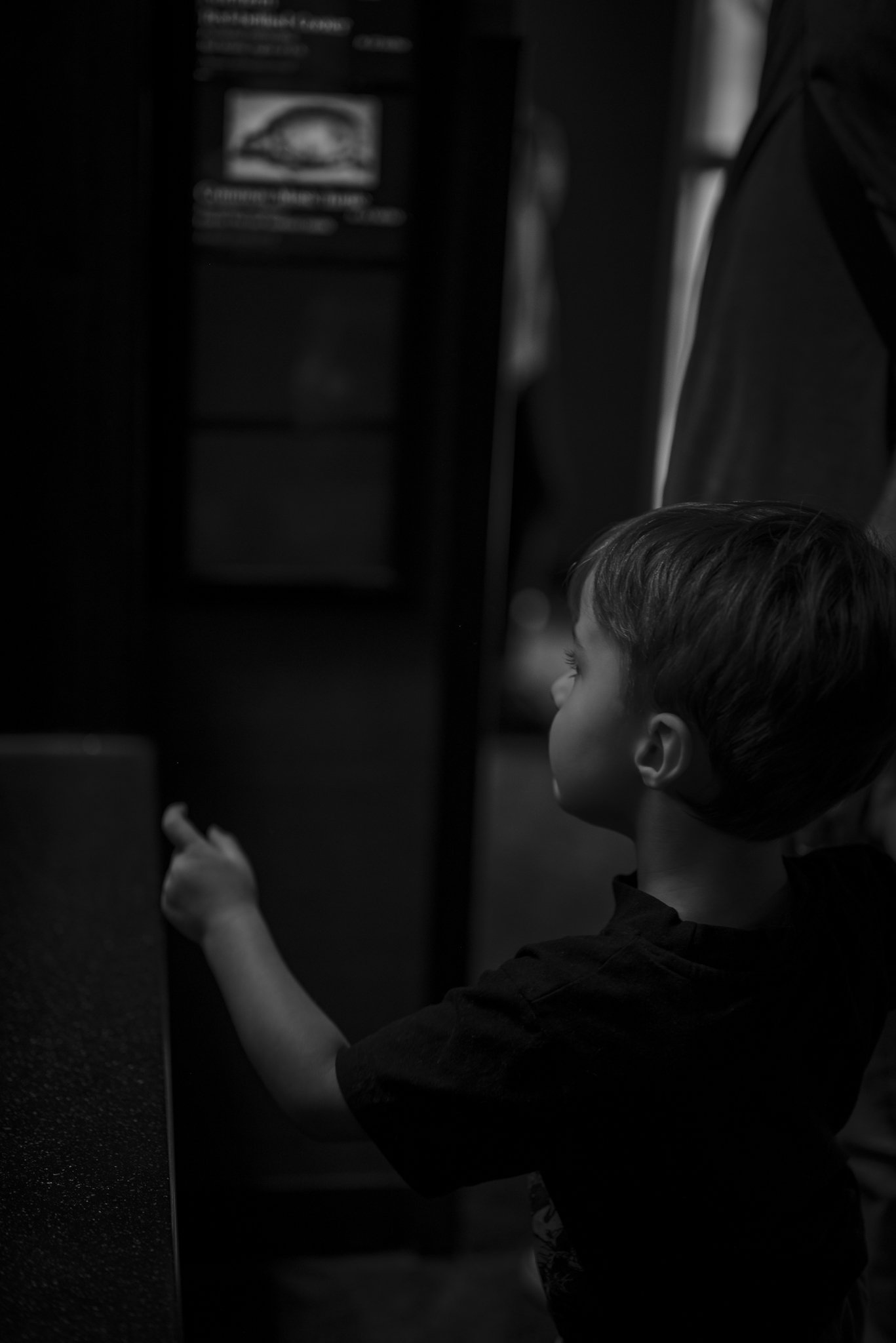 Aquarium No WM-08.jpg