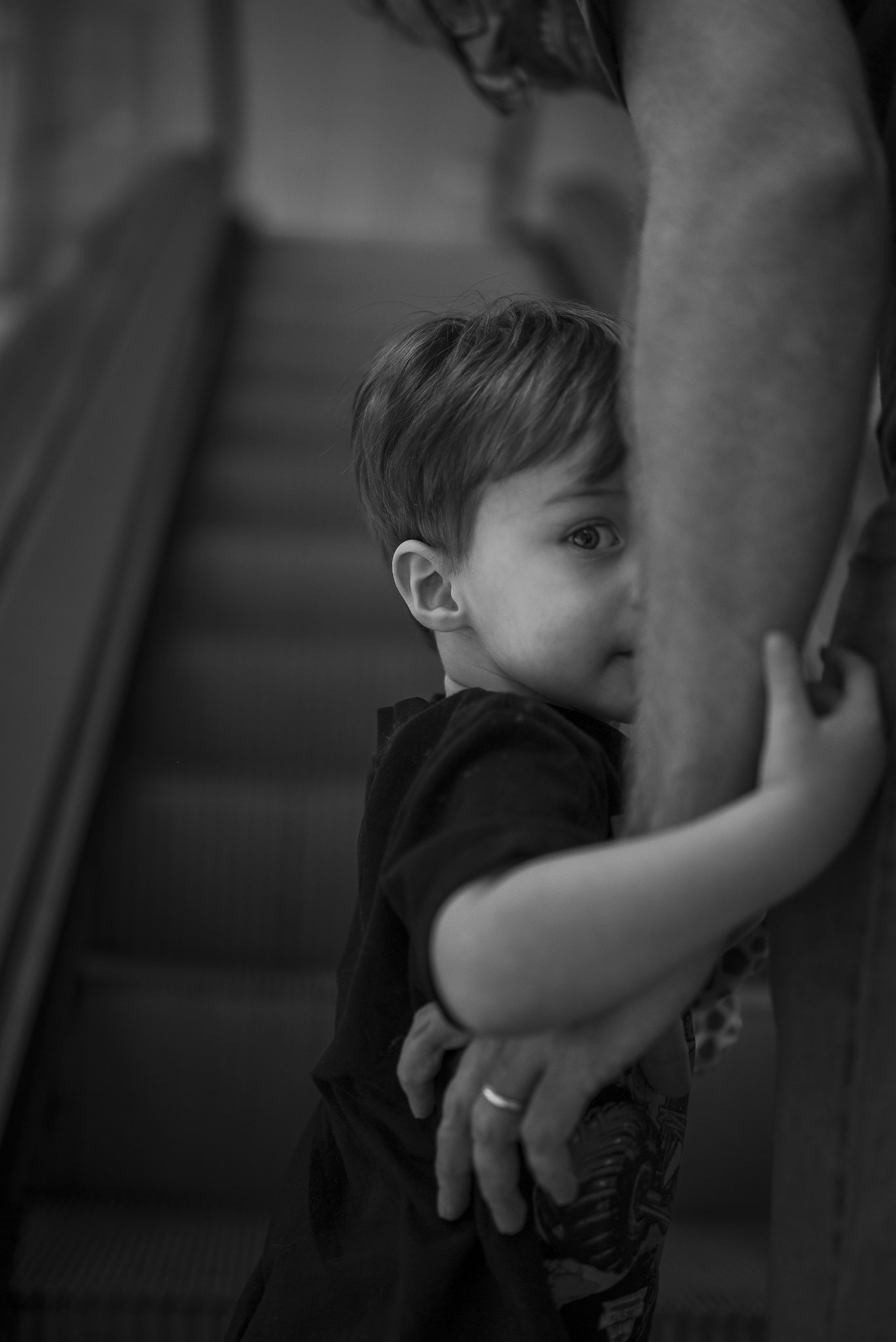 Aquarium No WM-43.jpg