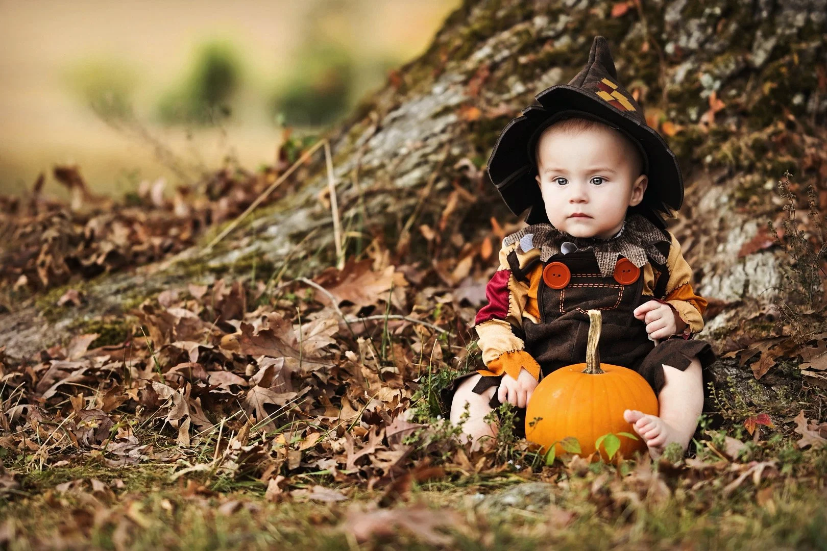 Fall into Memories
