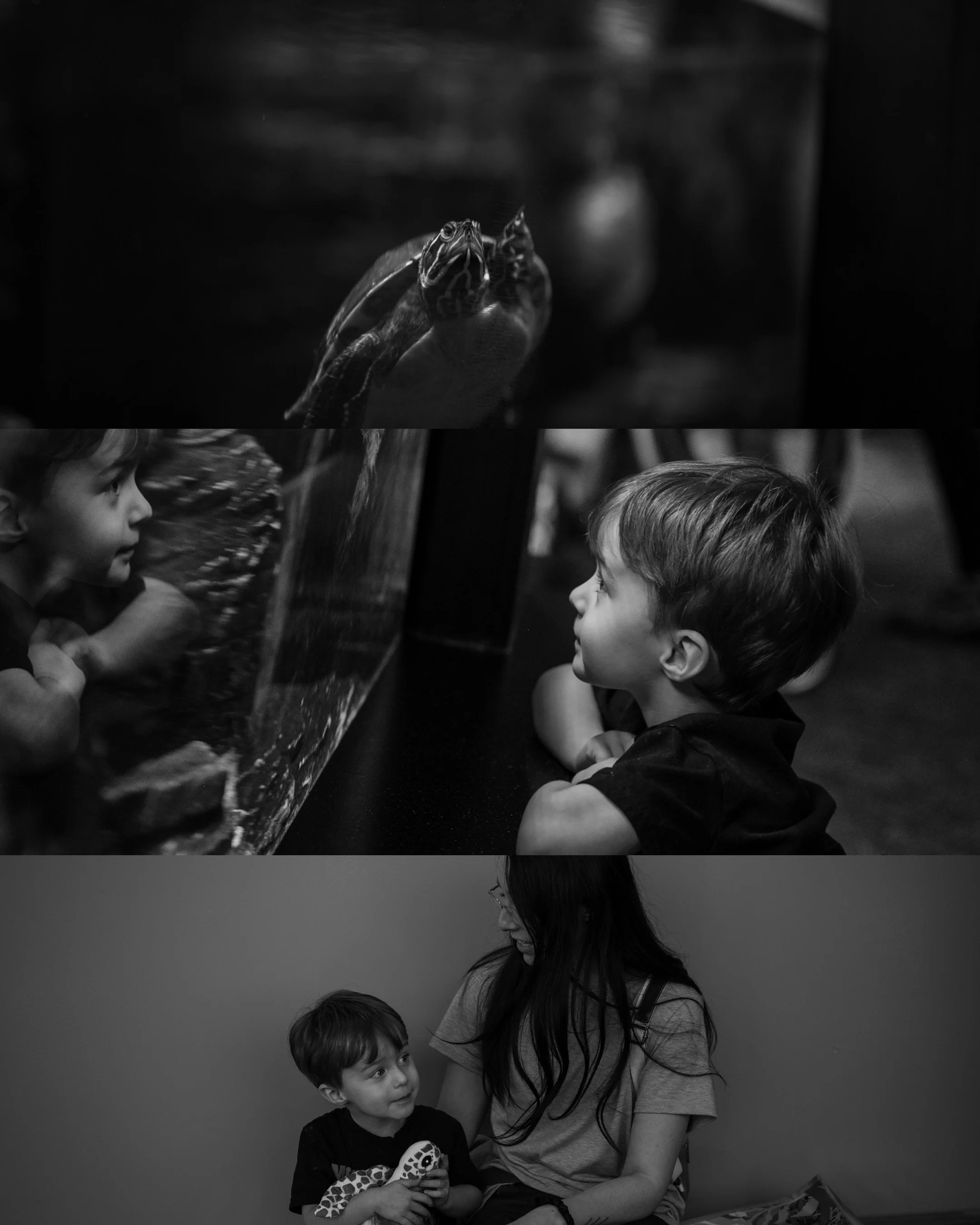 2026 Monochrome Mini Session