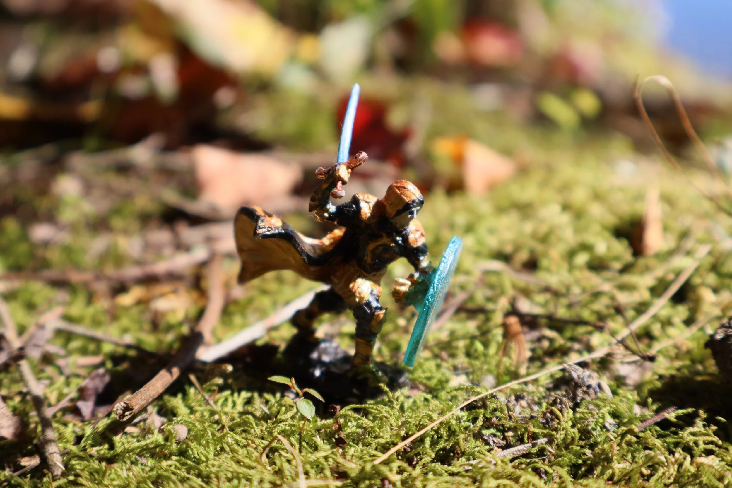 The spiritual Paladin