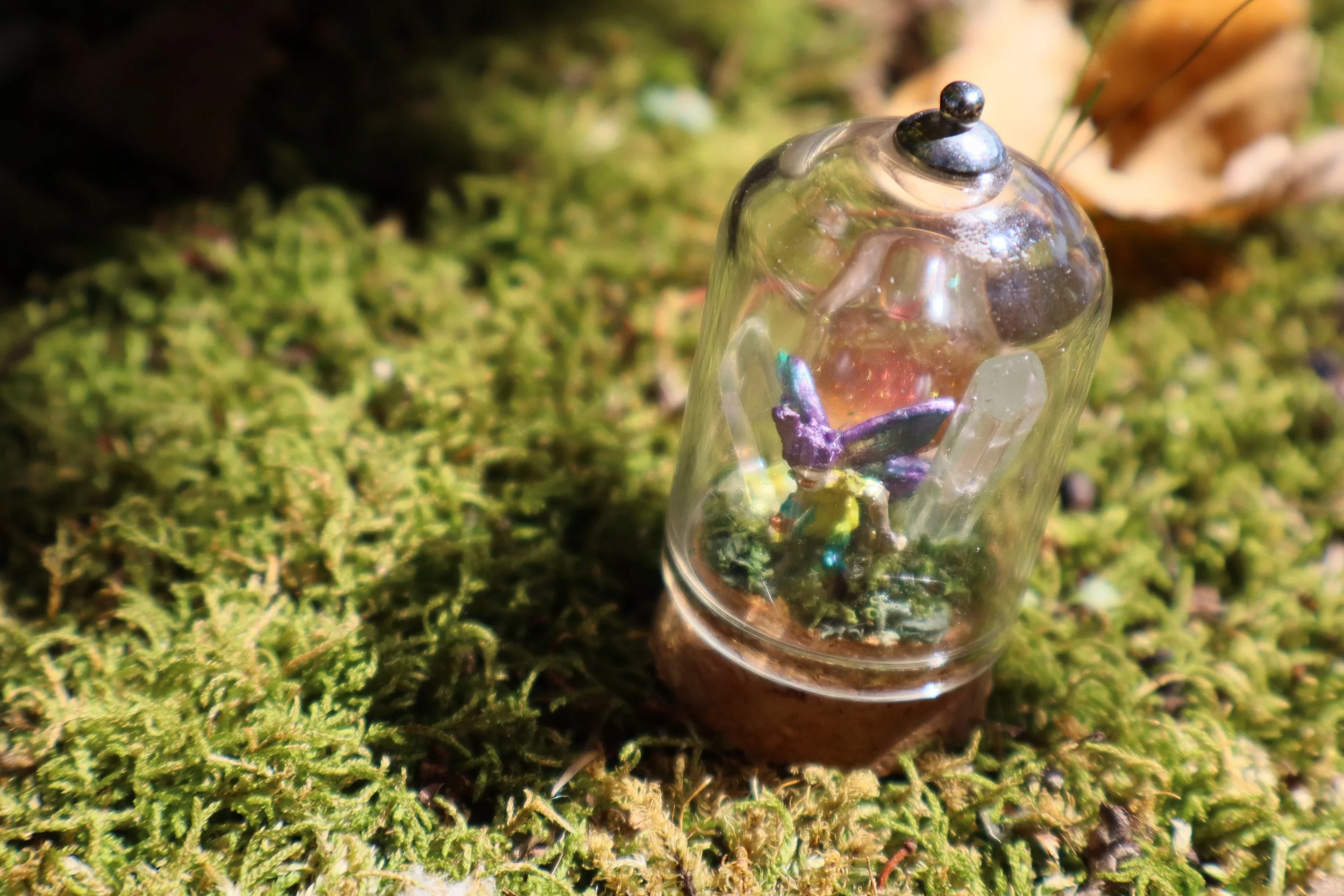 Modified D&D minis to make a to-scale fairy! Terrarium made by a different artist.