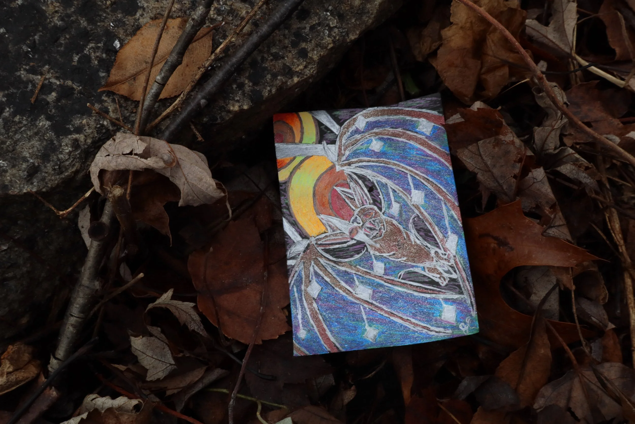 A fruit bat, with wings of stars and cosmic echolocation. 