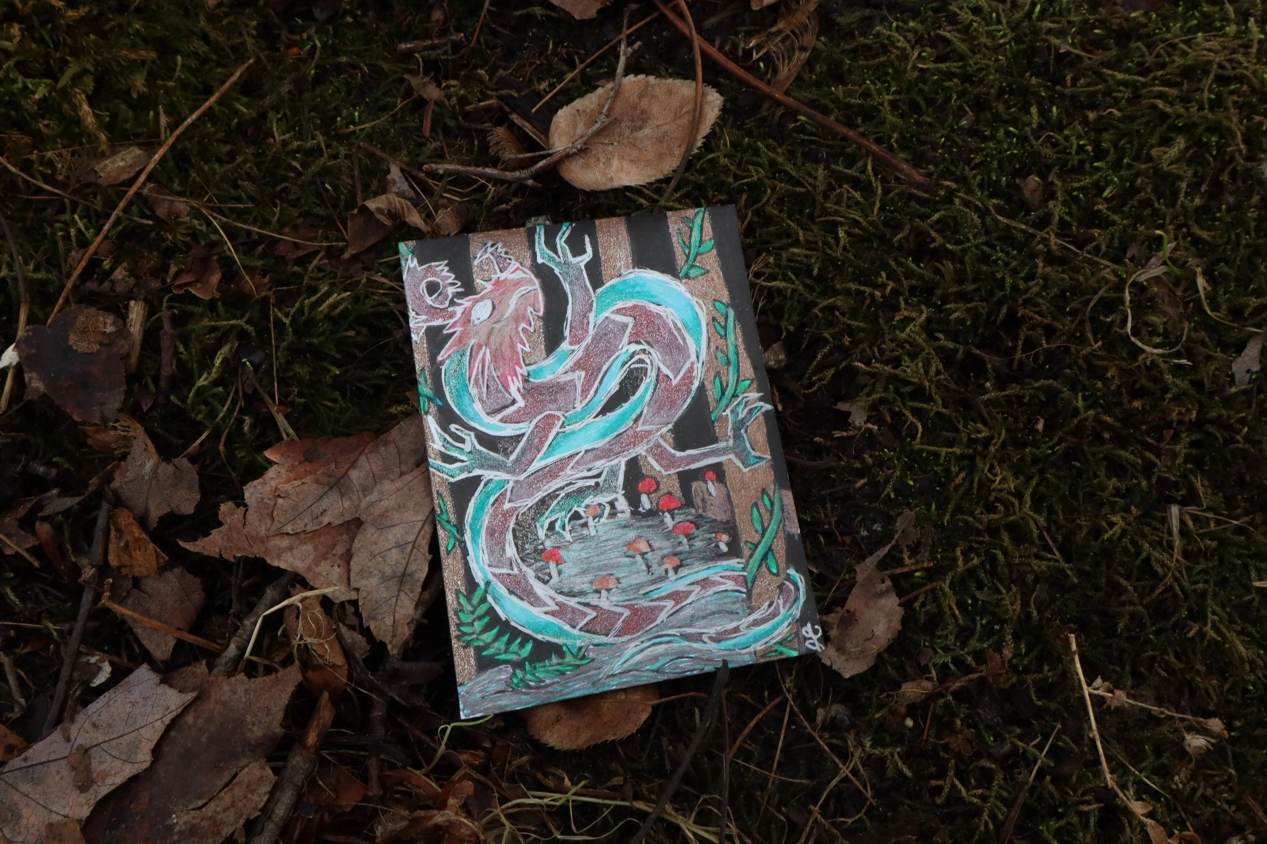 A fairy circle of mushrooms, created from the dancing feet of a dragon