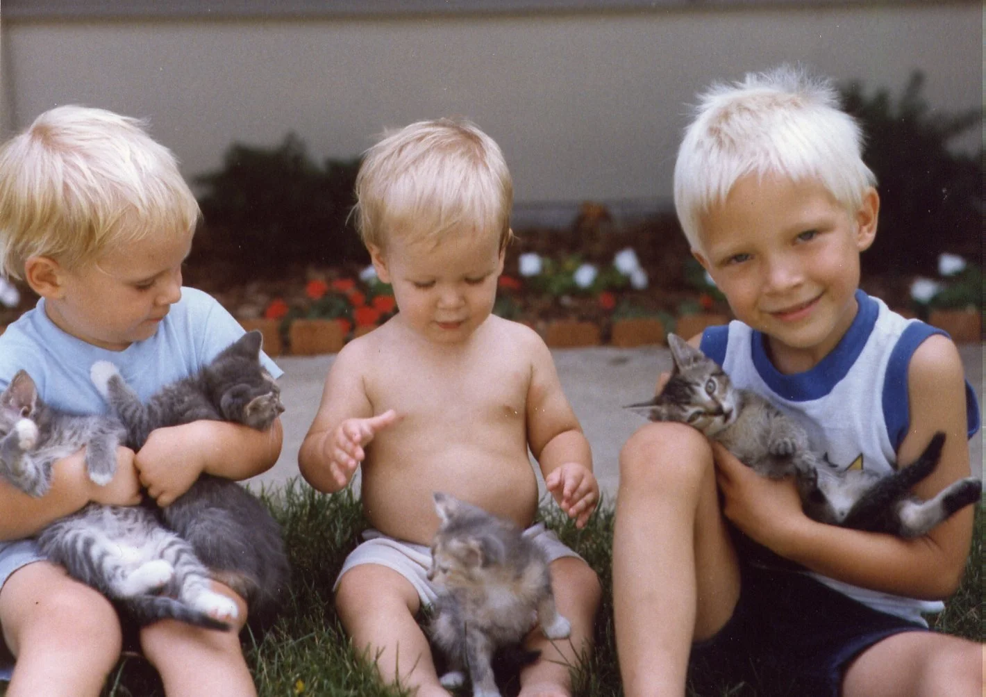 Boy & Kittens