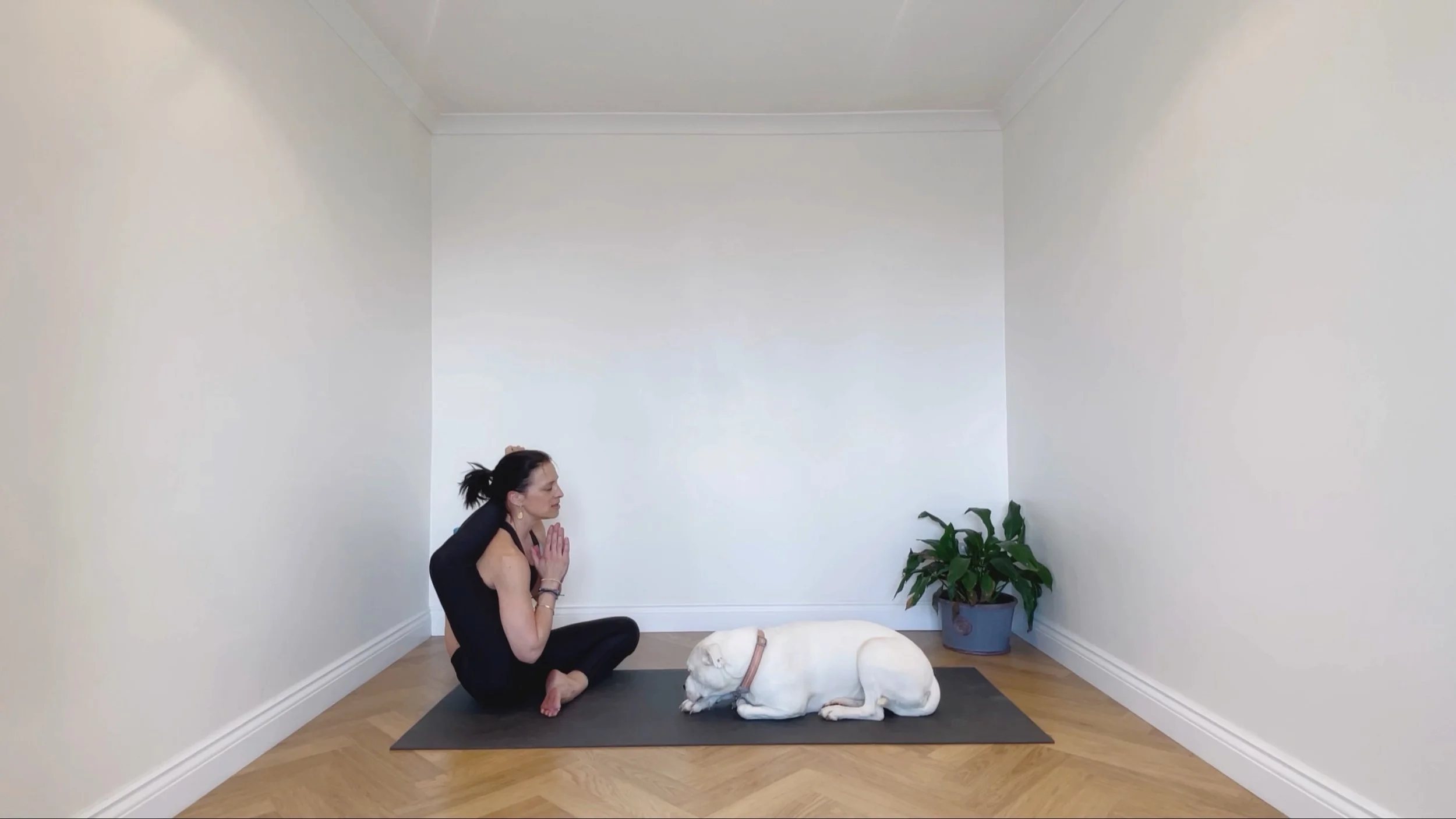 LEG BEHIND HEAD WORKSHOP