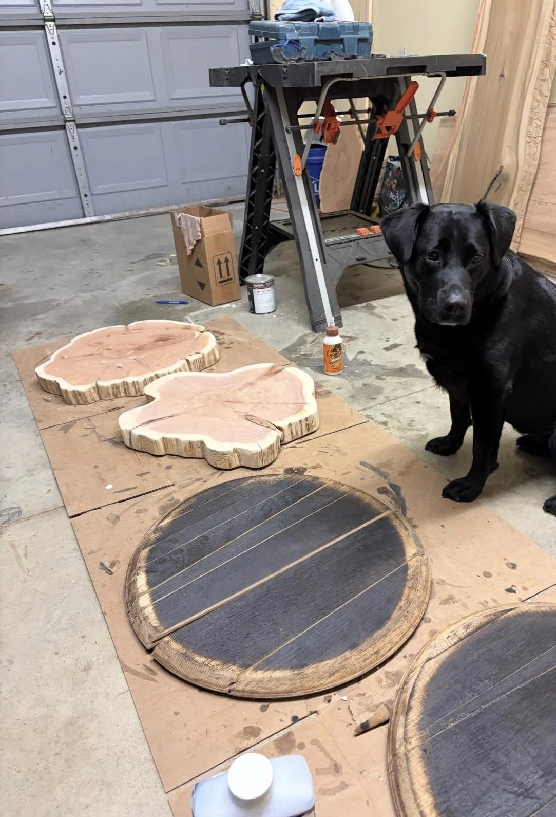 Woodworking workshop with three wooden round plaques and two faux wood slices on a cardboard sheet. A black Labrador dog is sitting next to the items, in front of a workbench with tools and supplies. The background includes a garage door and wooden walls.